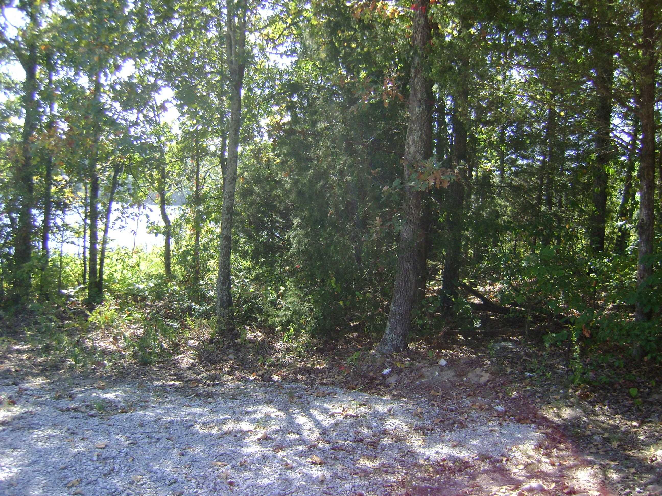 1711  Pleasant Valley Dr. 1108 Fairwater Circle Horseshoe Bend, AR