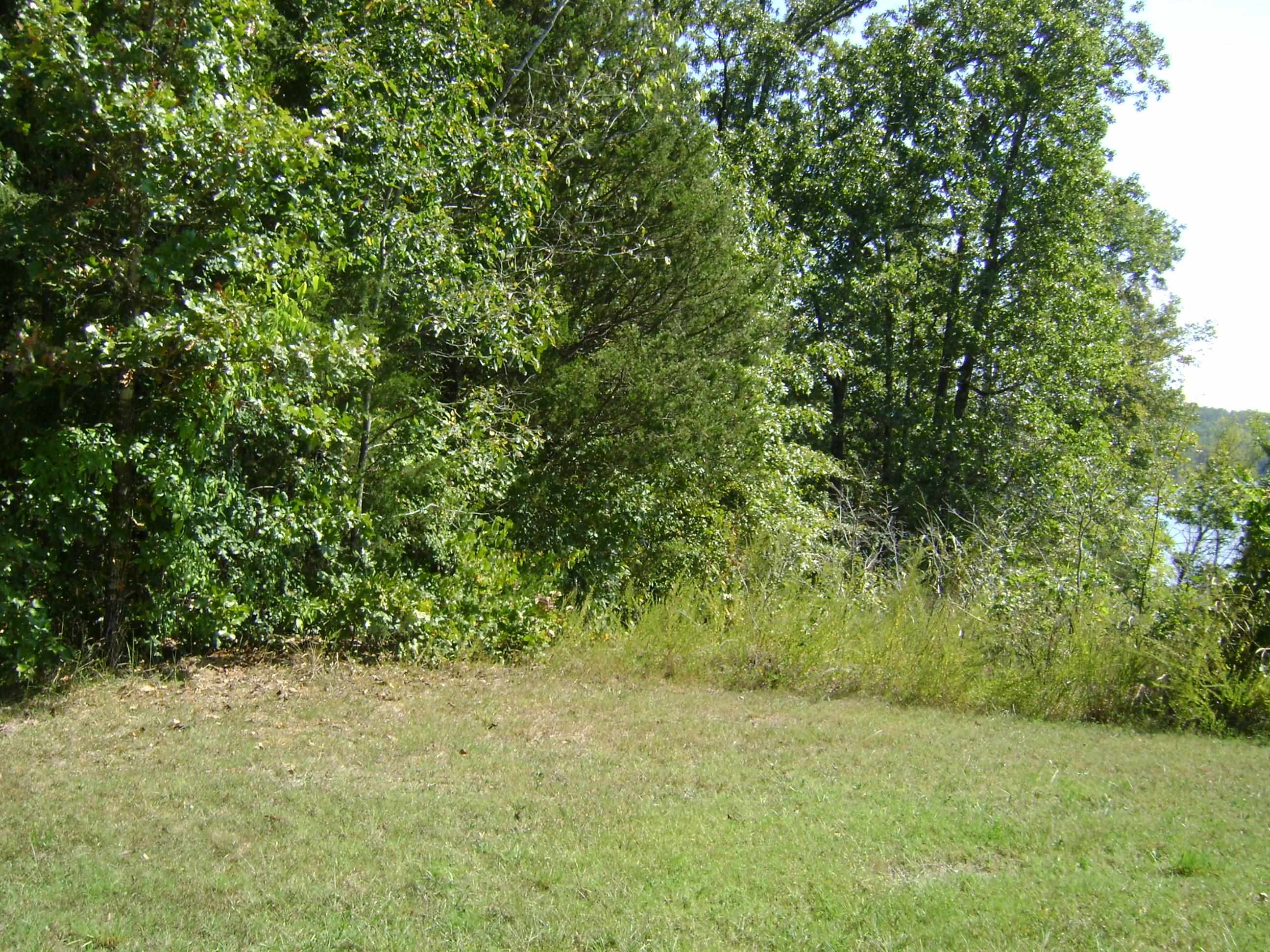 1711  Pleasant Valley Dr. 1108 Fairwater Circle Horseshoe Bend, AR