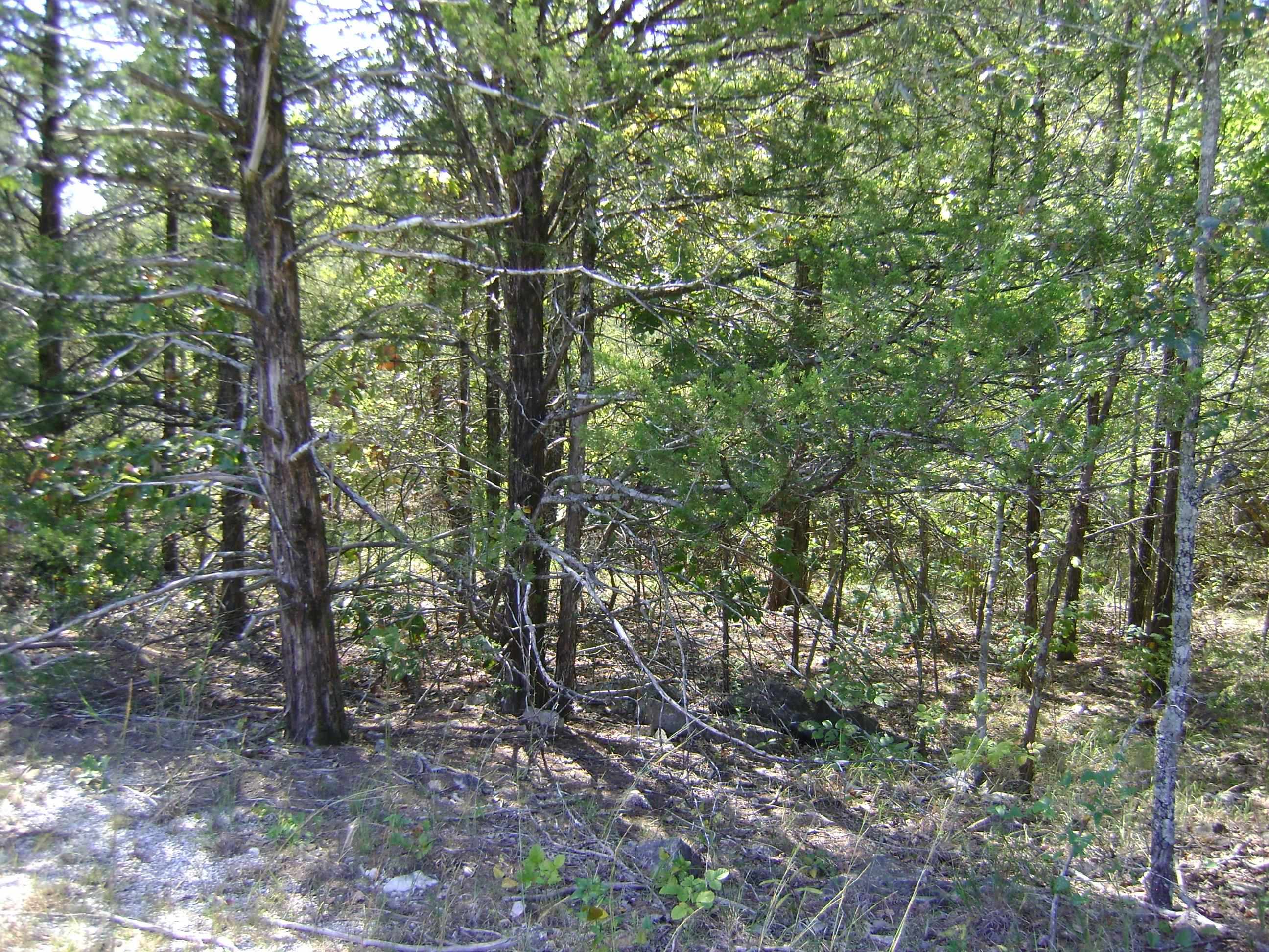1711  Pleasant Valley Dr. 1108 Fairwater Circle Horseshoe Bend, AR