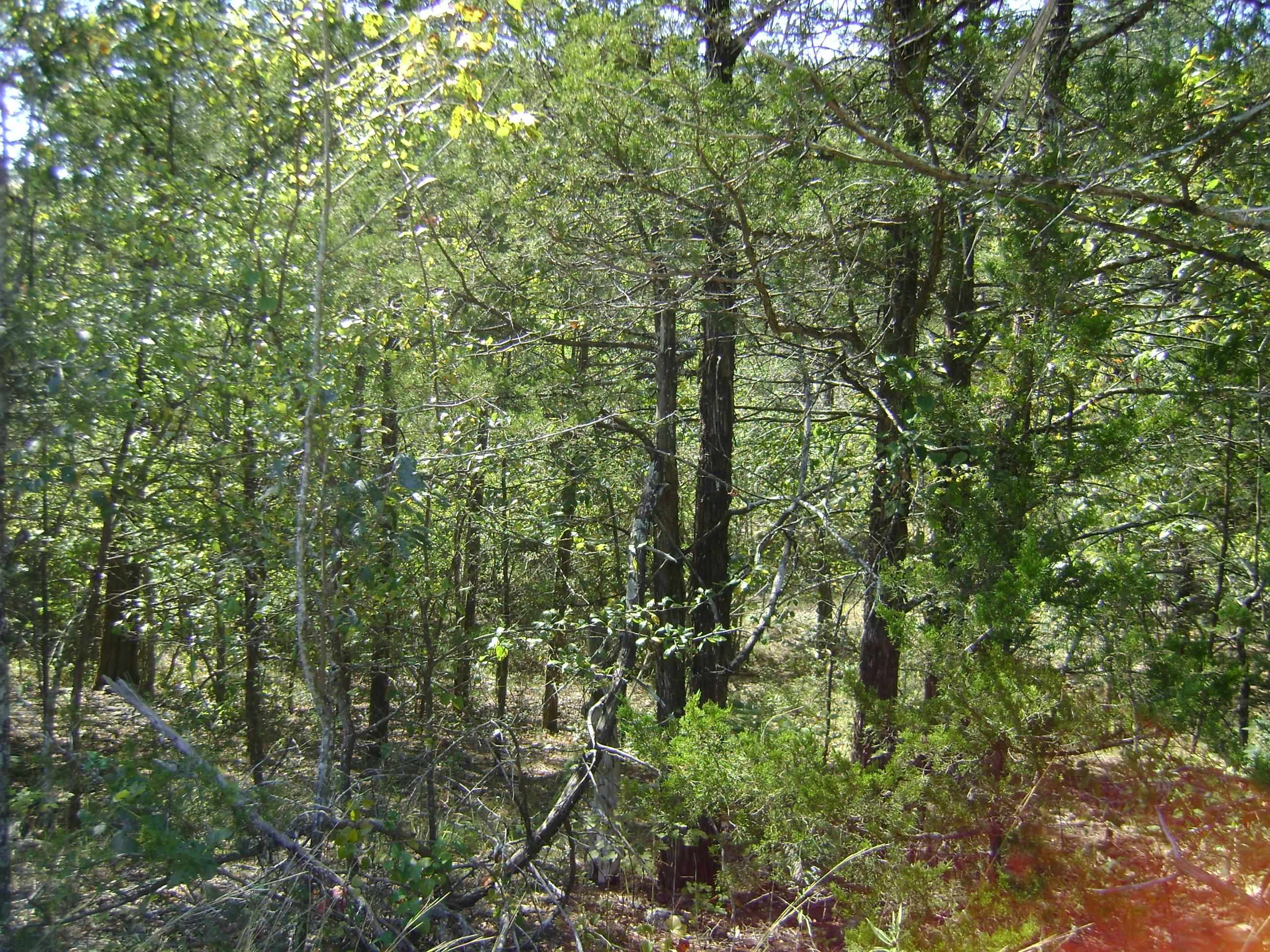 1711  Pleasant Valley Dr. 1108 Fairwater Circle Horseshoe Bend, AR