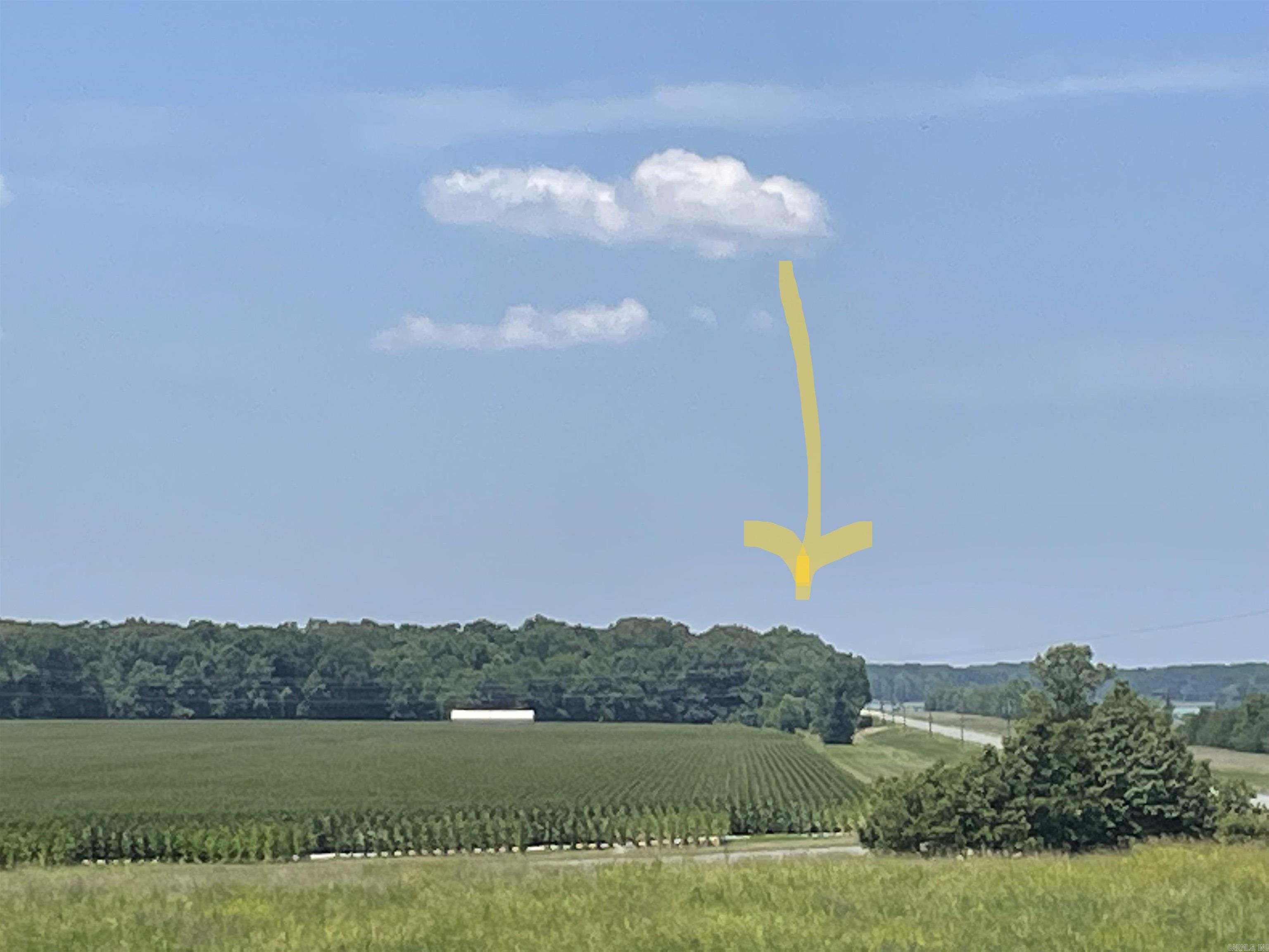 0000  Wibur D Mills  Tichnor, AR
