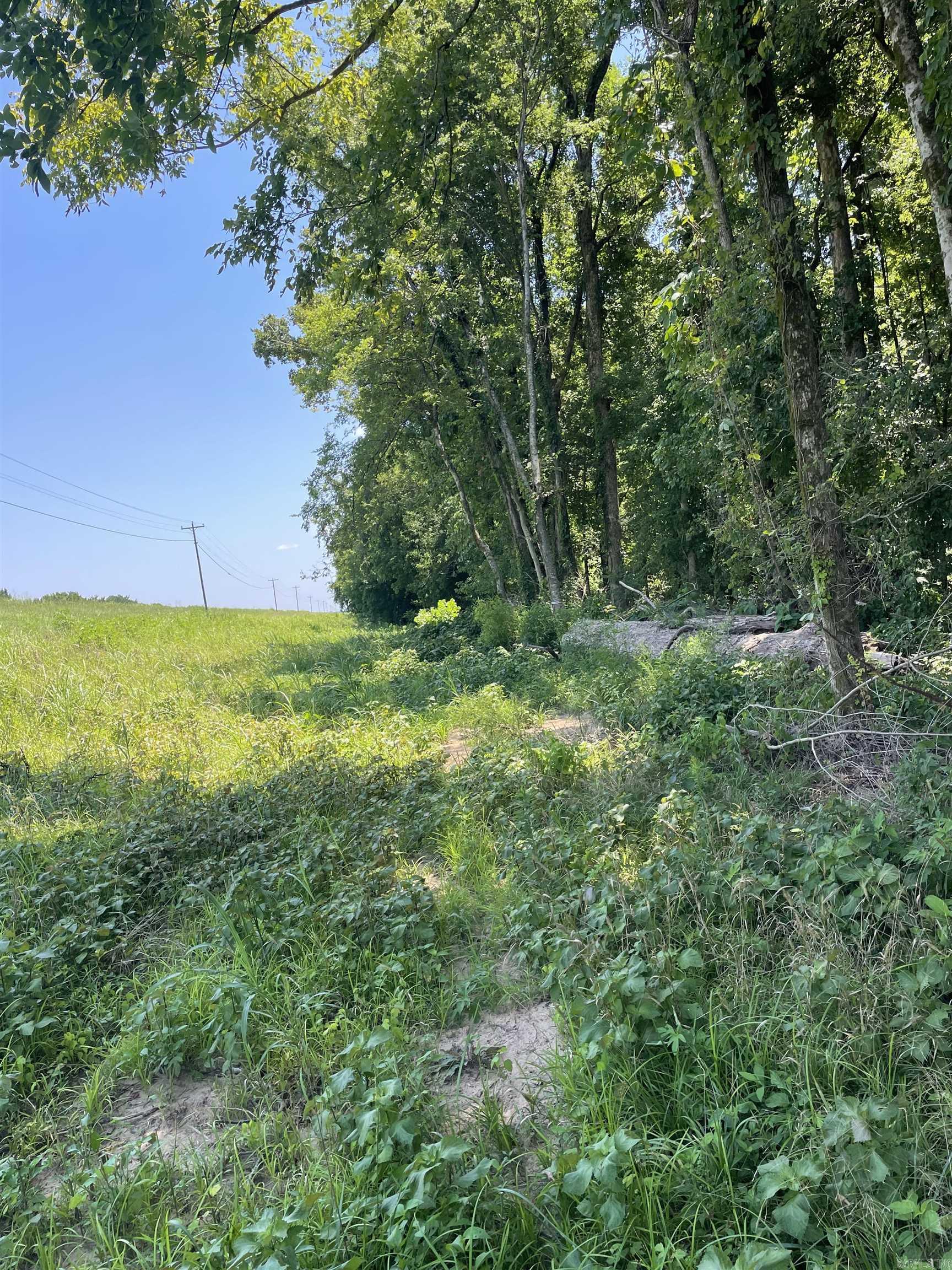 0000  Wibur D Mills  Tichnor, AR