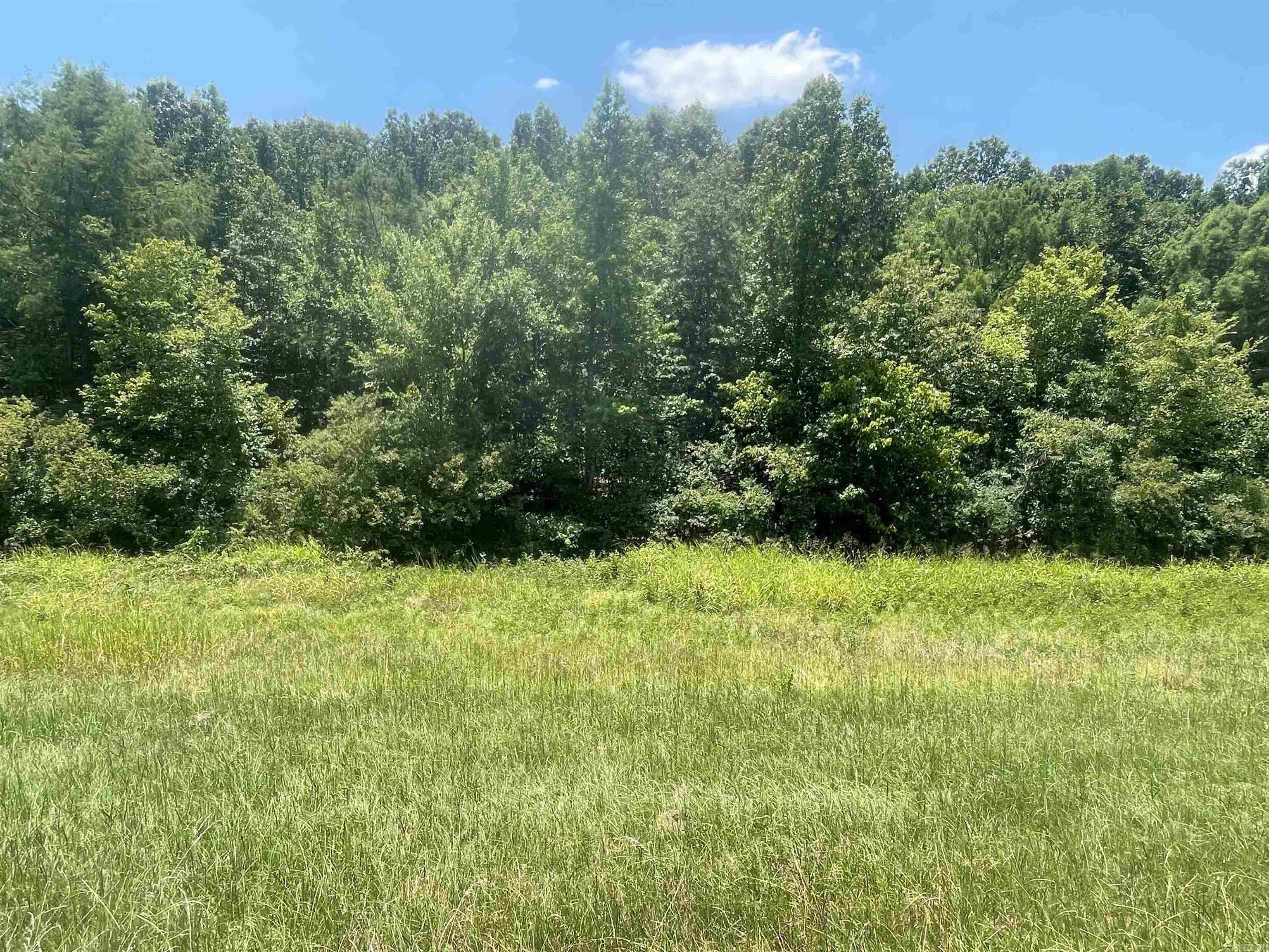 0000  Wibur D Mills  Tichnor, AR