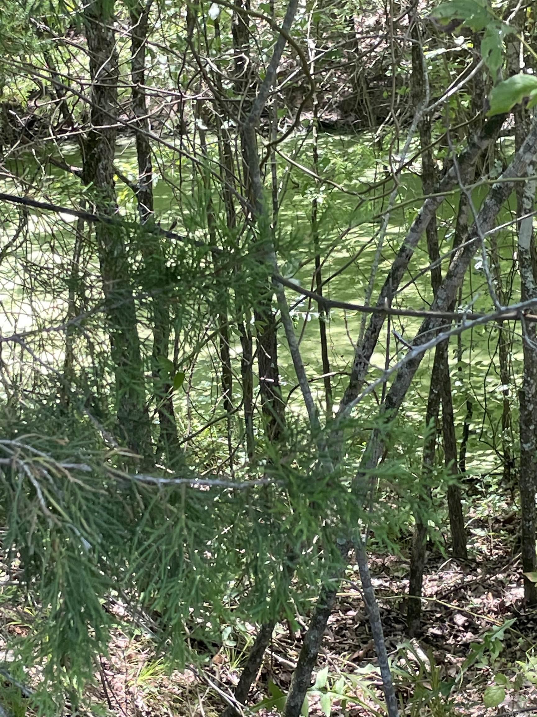 0000  Wibur D Mills  Tichnor, AR