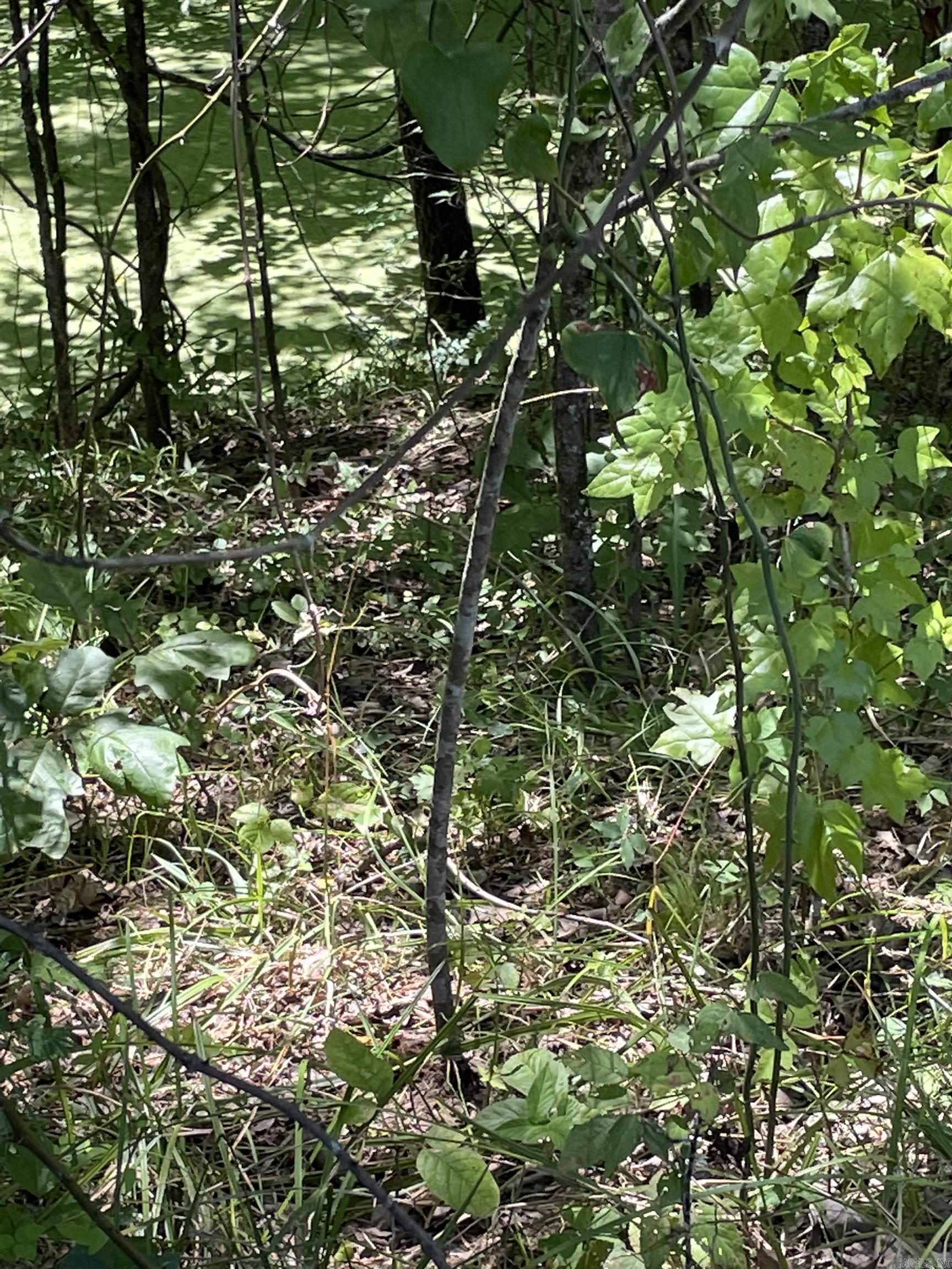 0000  Wibur D Mills  Tichnor, AR