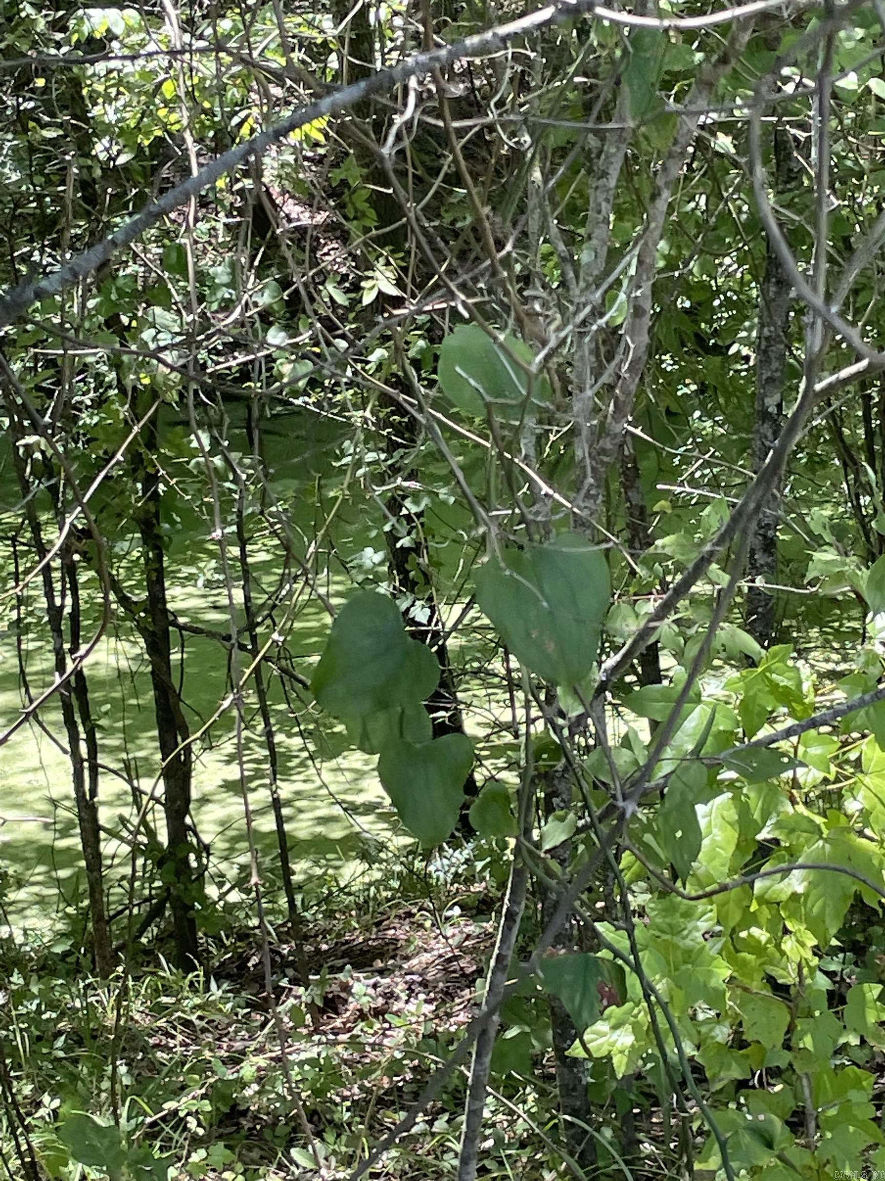 0000  Wibur D Mills  Tichnor, AR