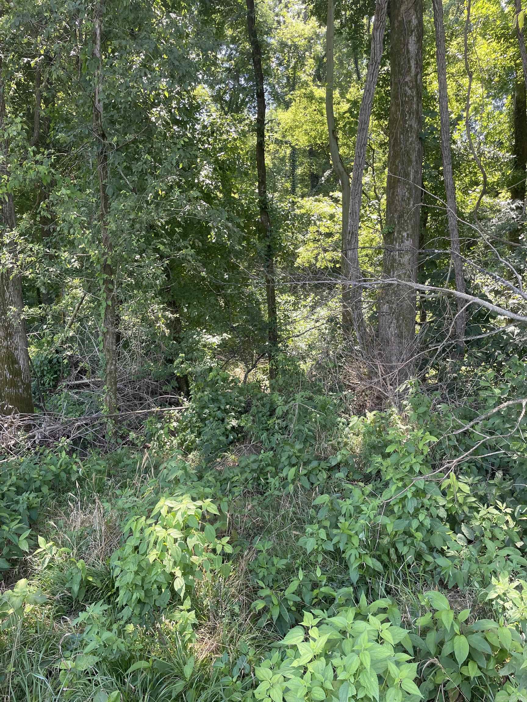 0000  Wibur D Mills  Tichnor, AR