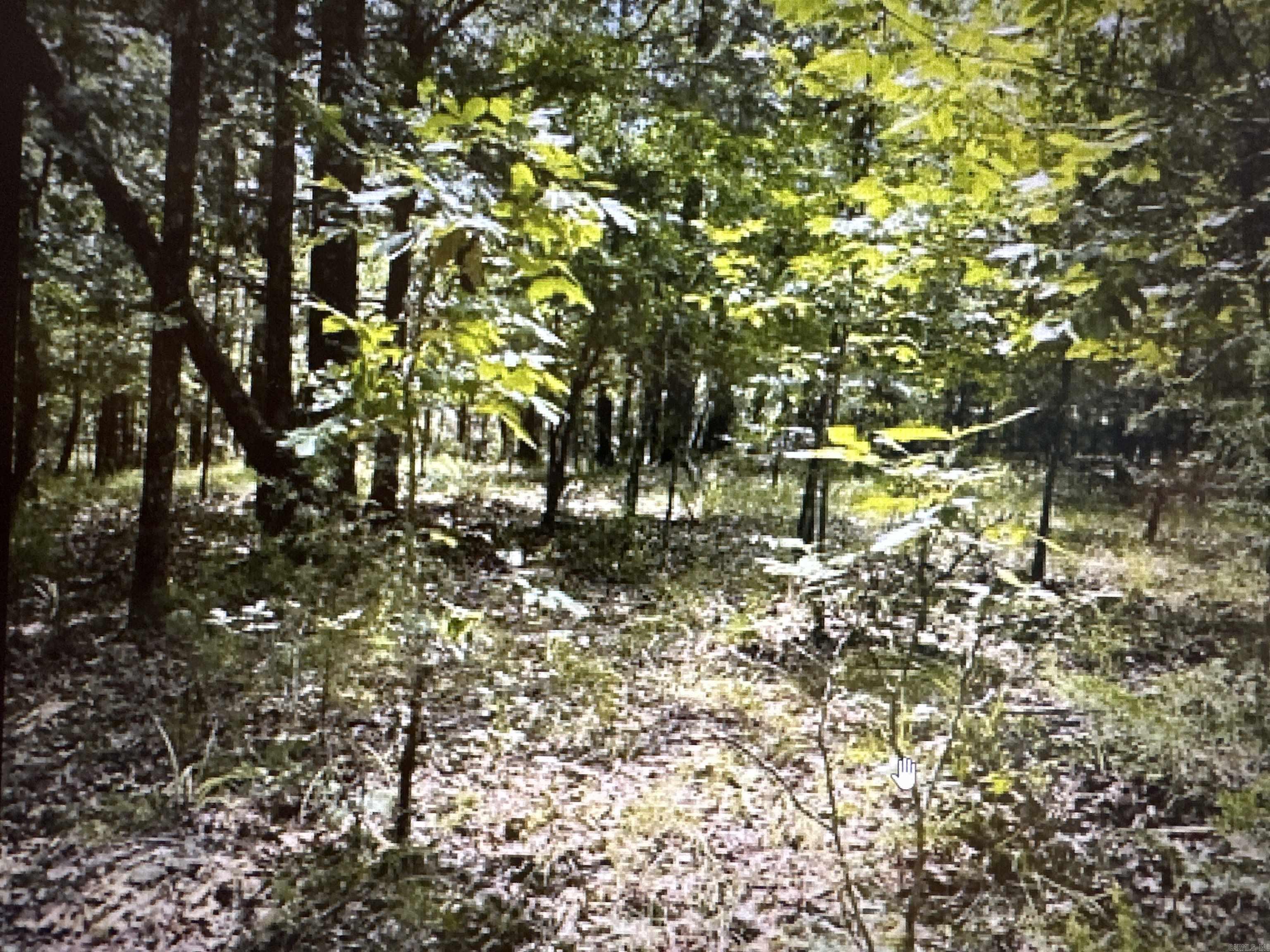 90  Largo Drive  Hot Springs Village, AR