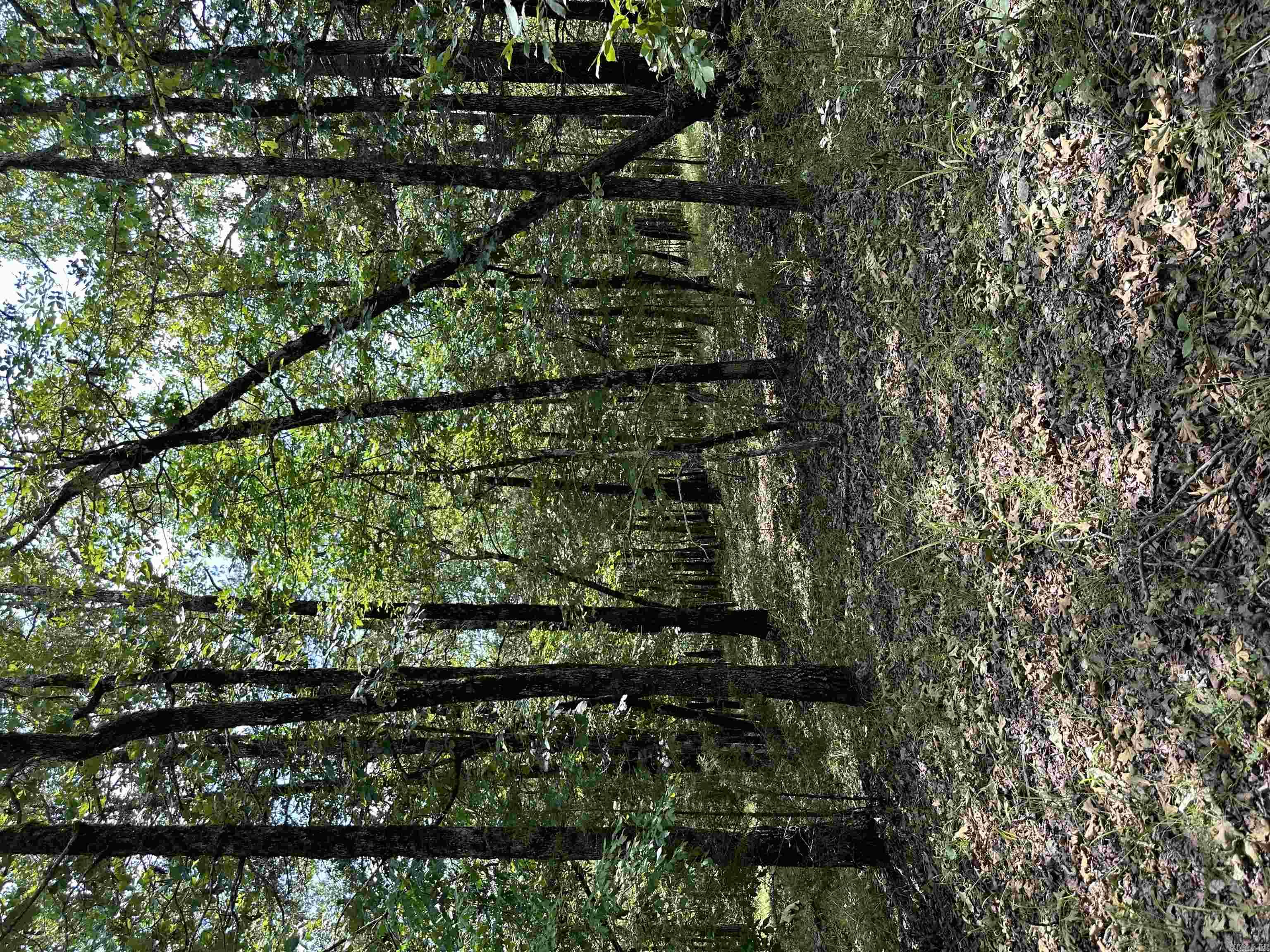 90  Largo Drive  Hot Springs Village, AR