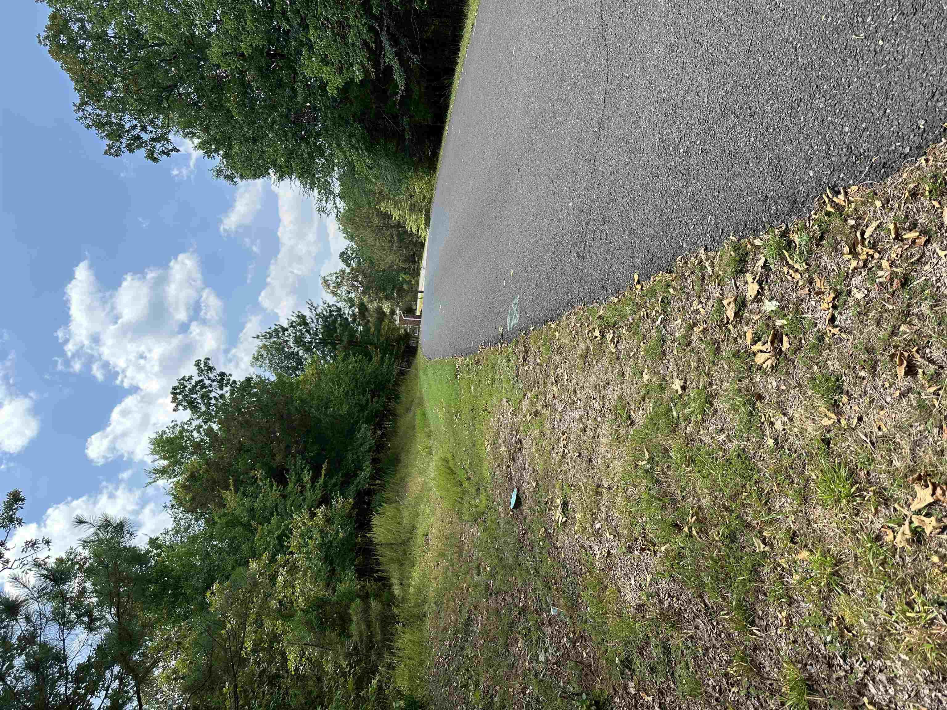 90  Largo Drive  Hot Springs Village, AR