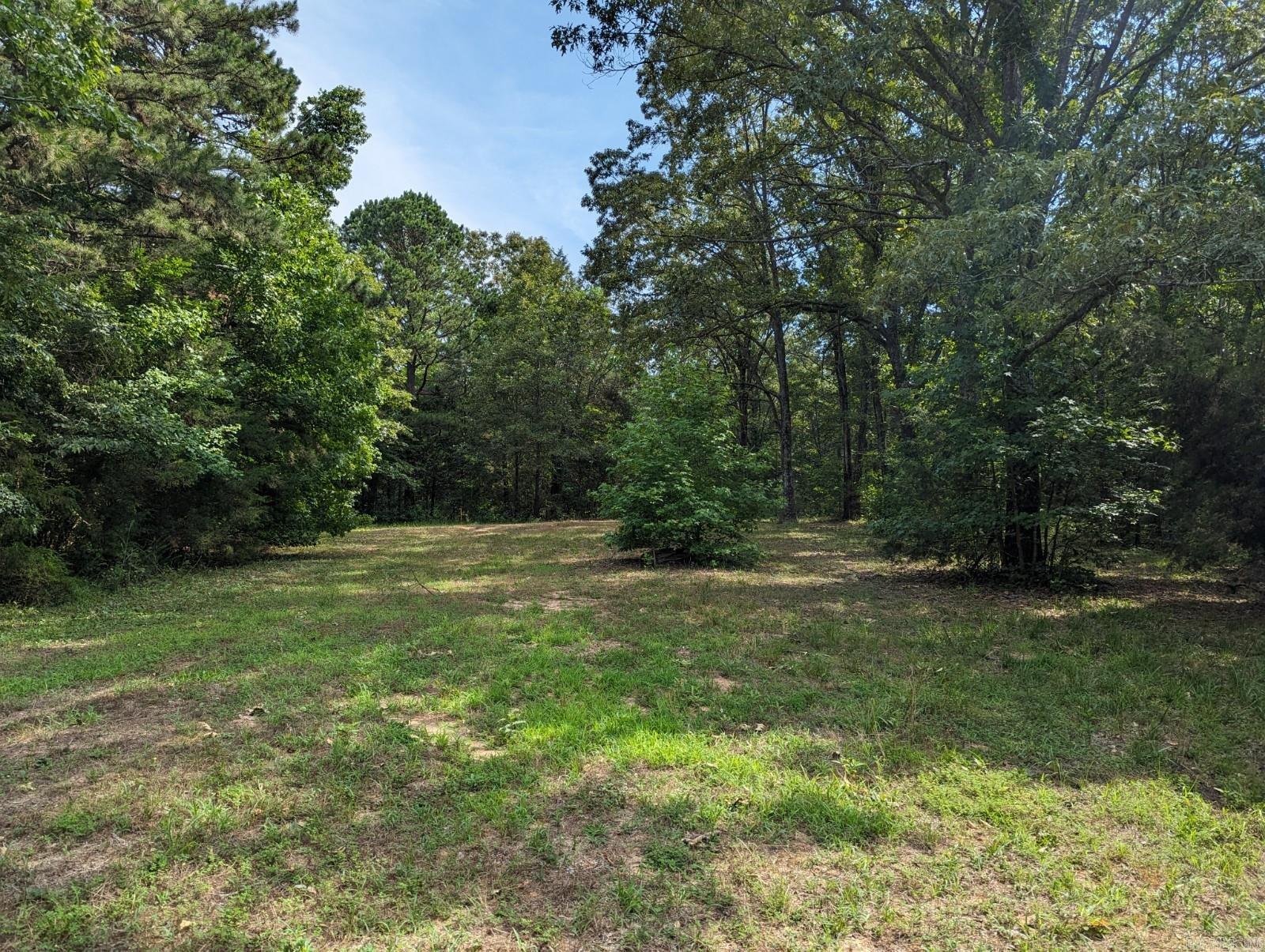 Bold Springs Road, Cave City, AR 72521