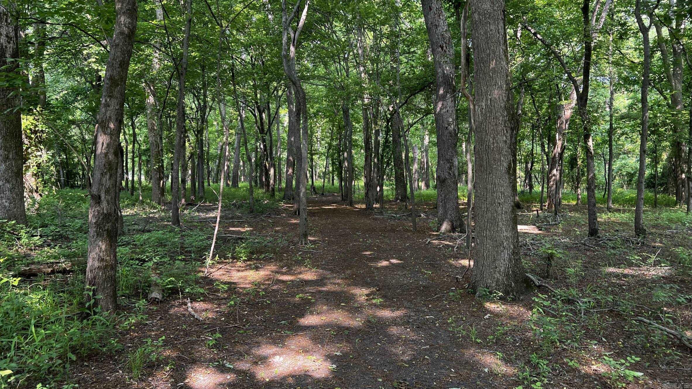 2390 CR 239  Helena, AR
