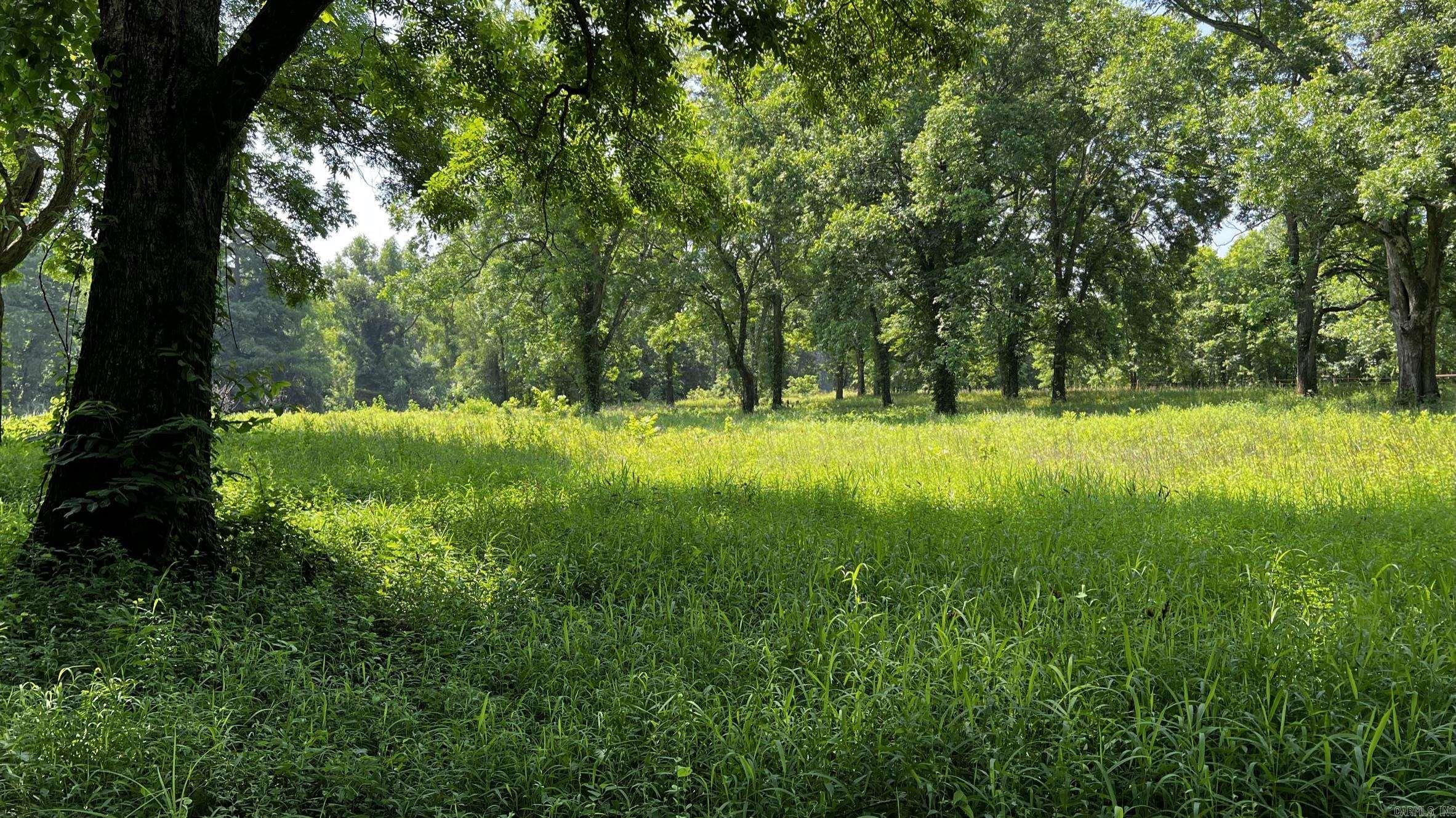 2390 CR 239  Helena, AR