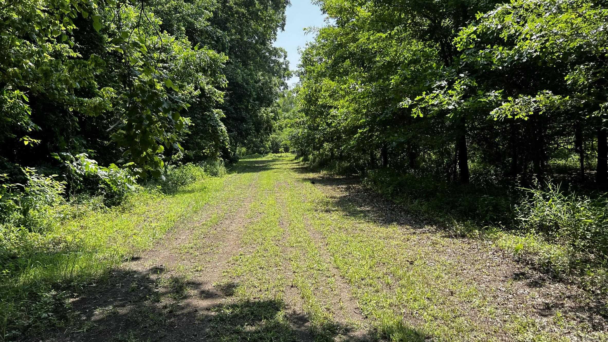 2390 CR 239  Helena, AR