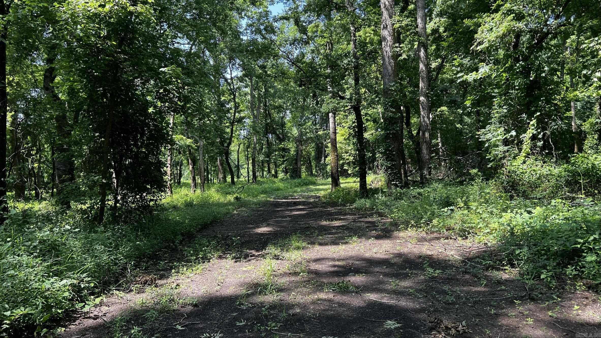2390 CR 239  Helena, AR
