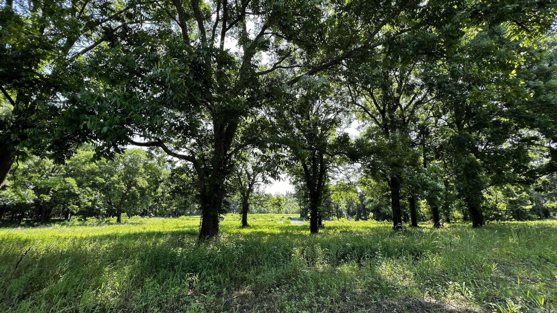 2390 CR 239  Helena, AR