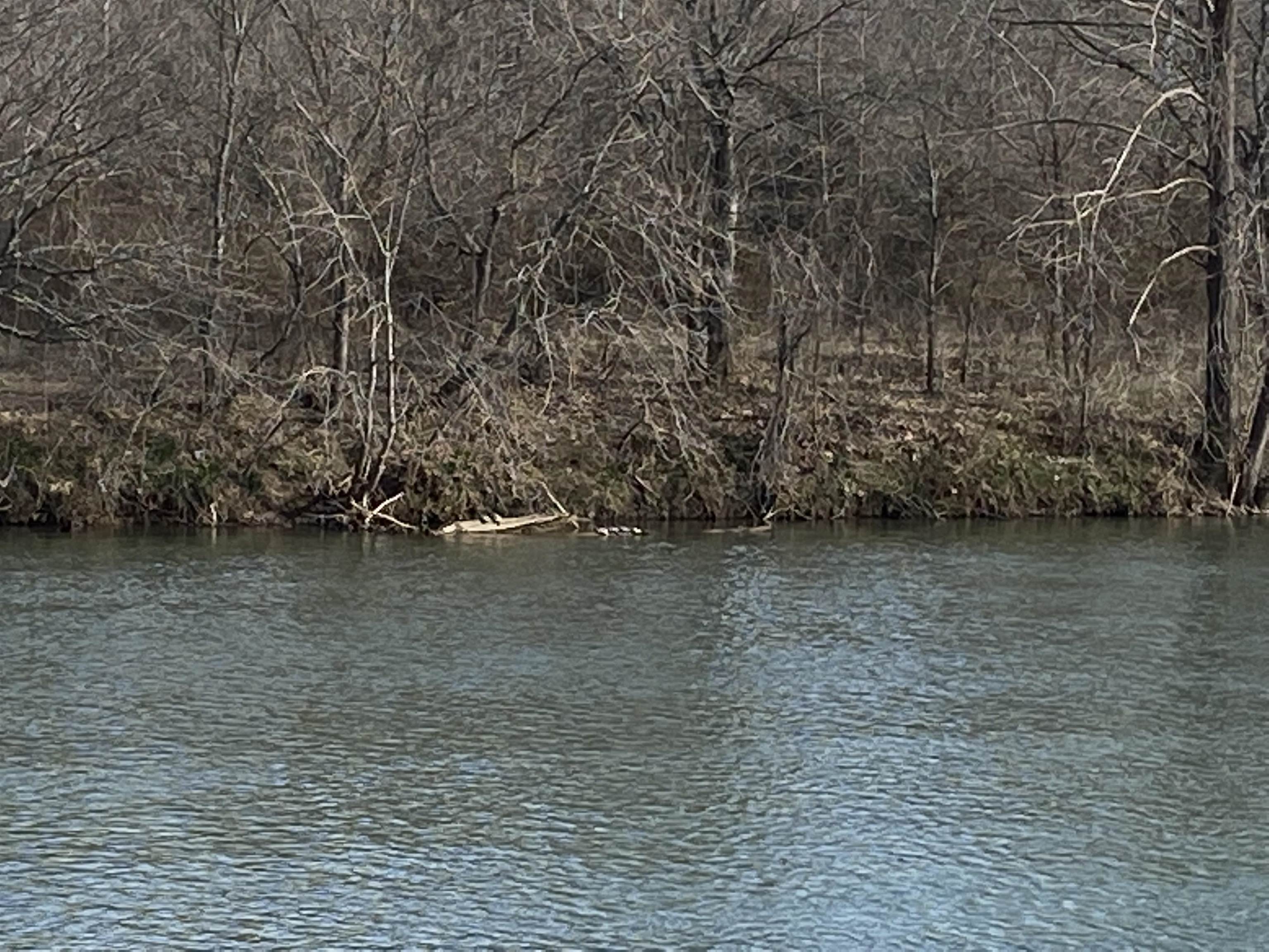 000 River Glen Terrace  Ravenden, AR
