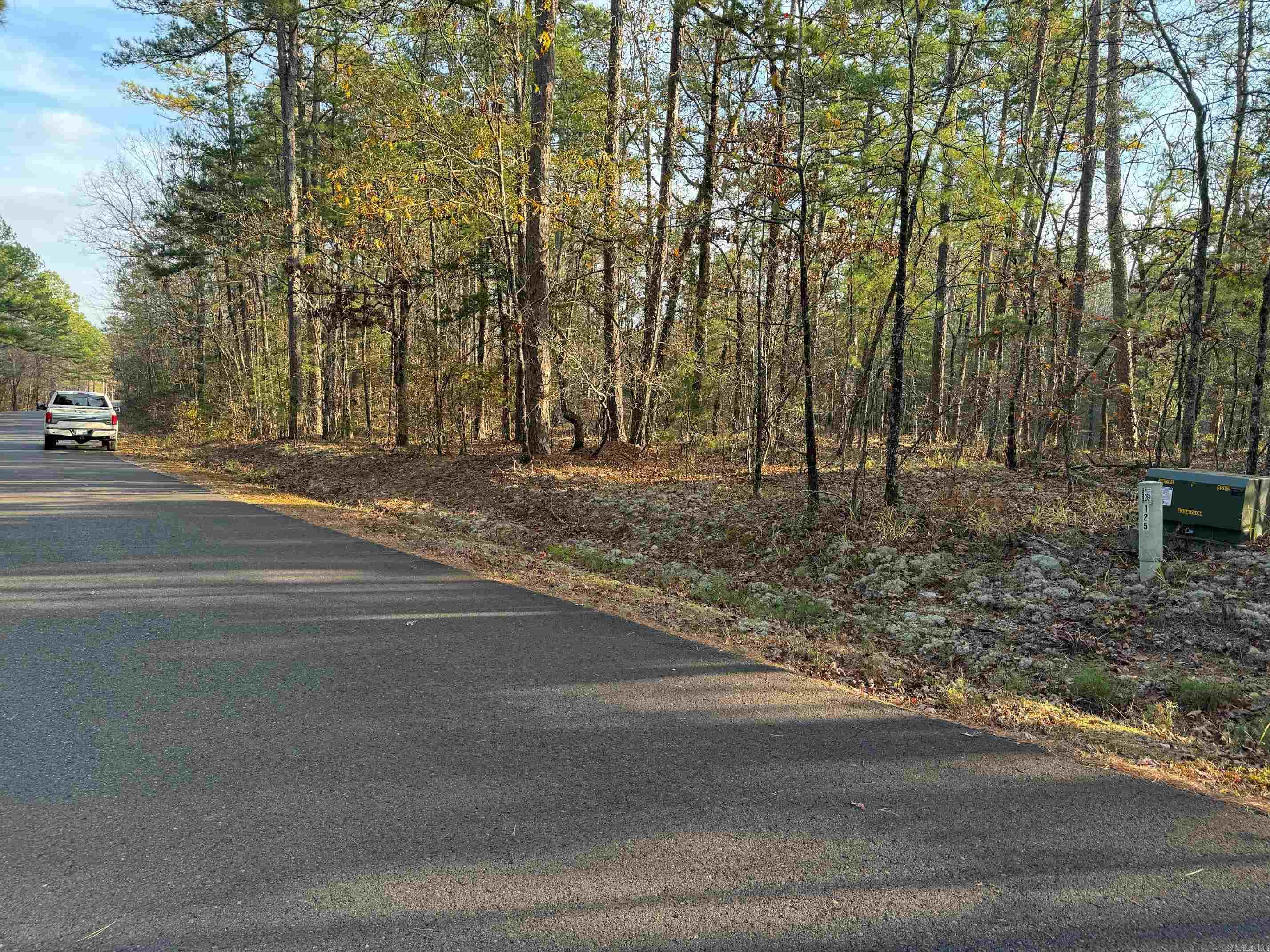 183  PAMPLONA WAY  Hot Springs Village, AR