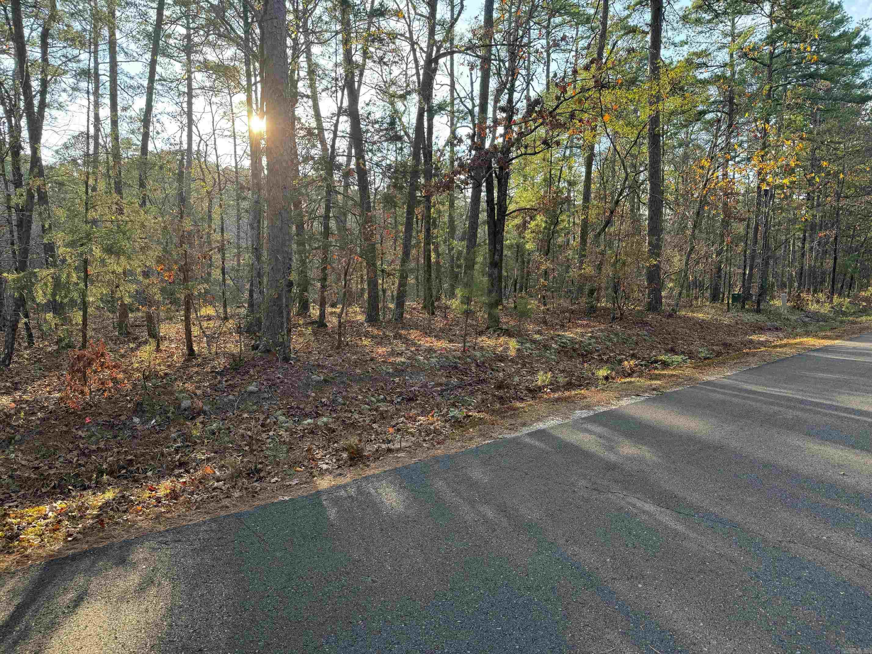 183  PAMPLONA WAY  Hot Springs Village, AR