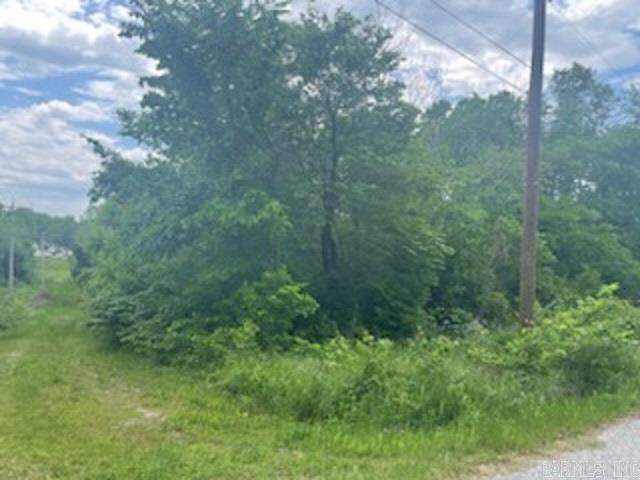 lot 58 Town Park Way  Mountain Home, AR
