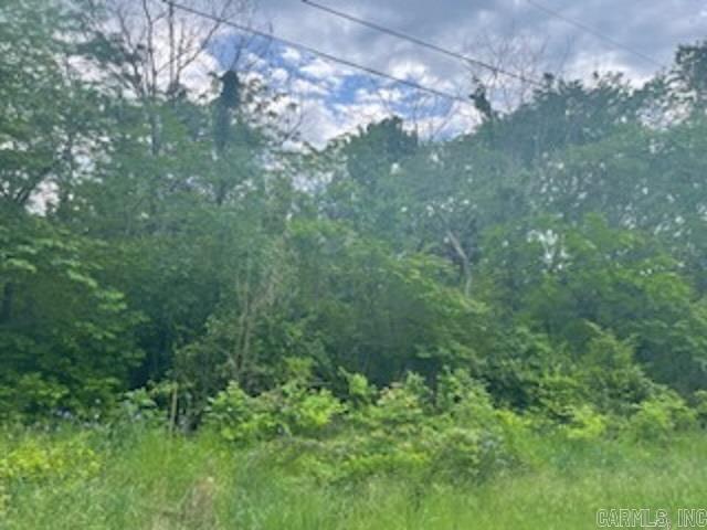 lot 58 Town Park Way  Mountain Home, AR