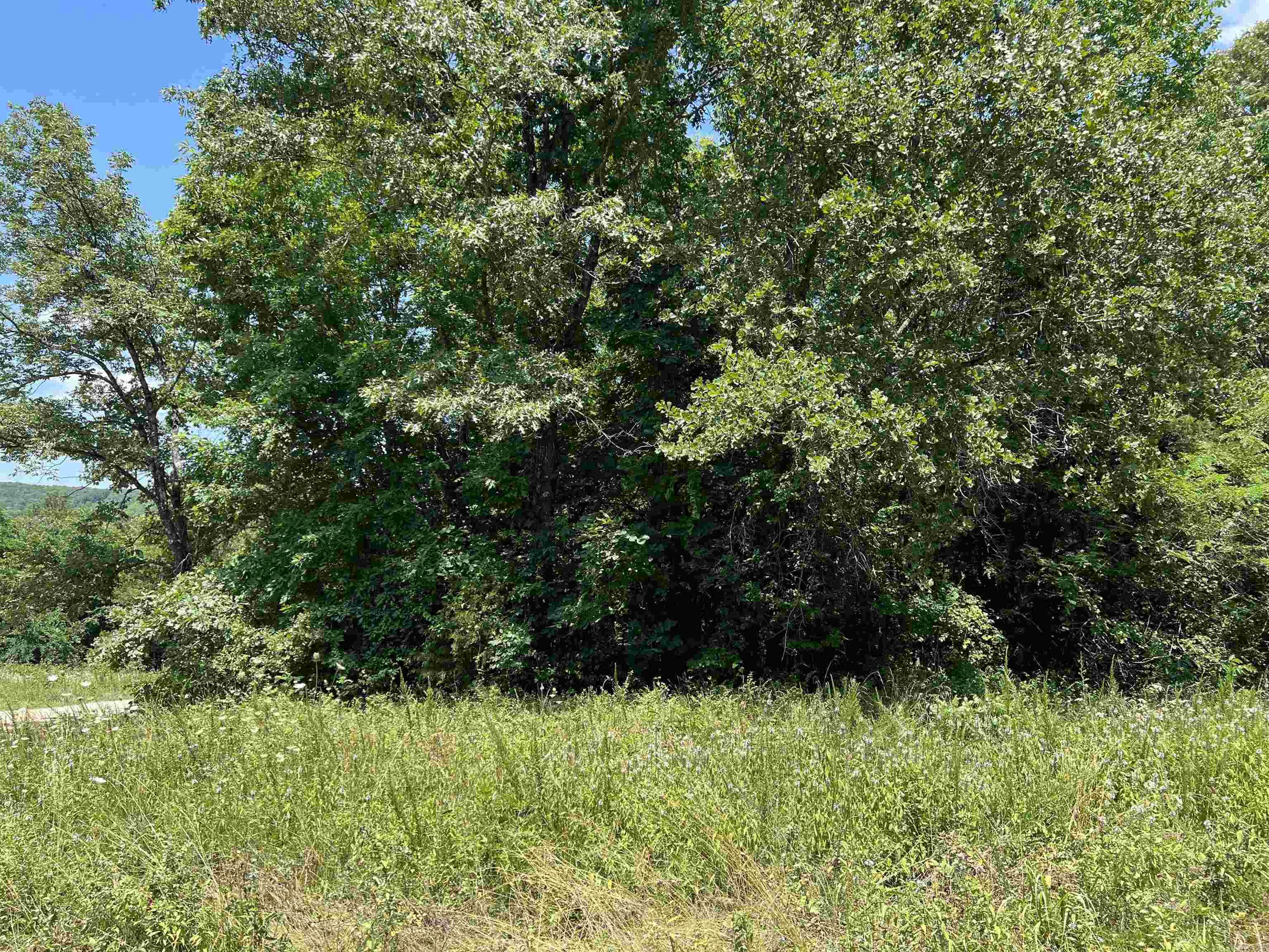   5.49 Acres on Meadow Creek Drive  Harrison, AR