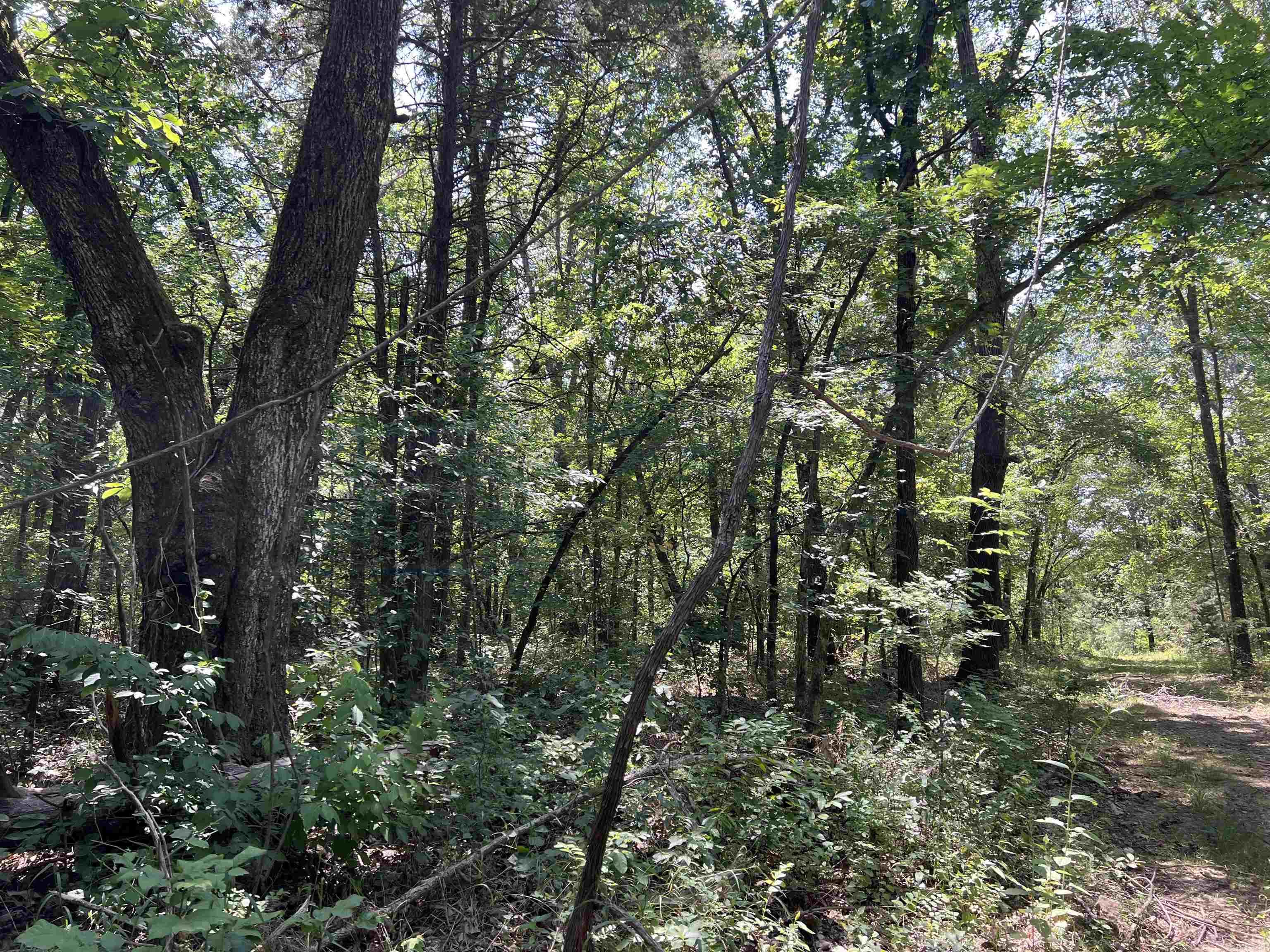   5.49 Acres on Meadow Creek Drive  Harrison, AR
