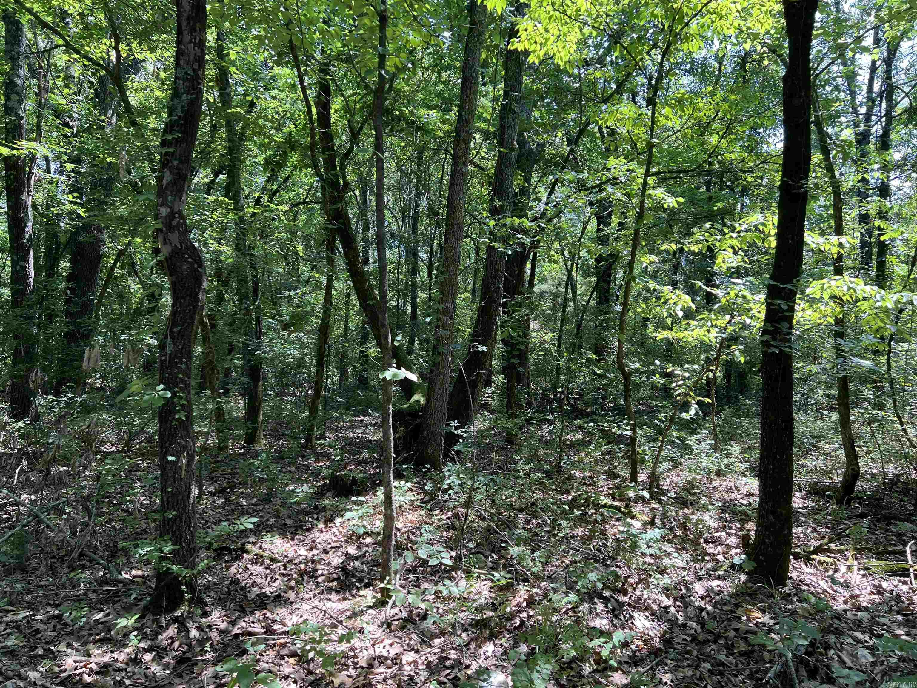   5.49 Acres on Meadow Creek Drive  Harrison, AR