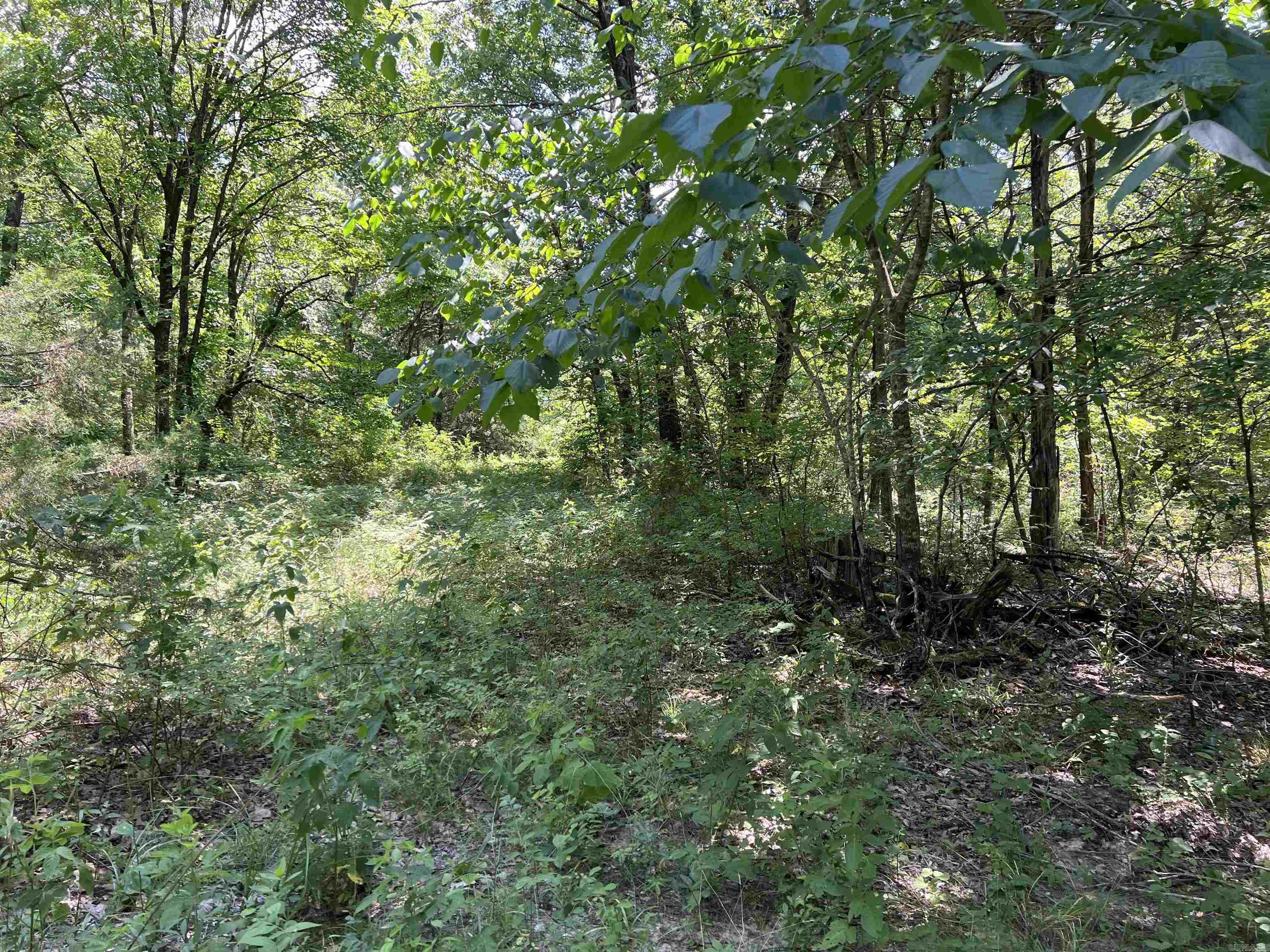   5.49 Acres on Meadow Creek Drive  Harrison, AR
