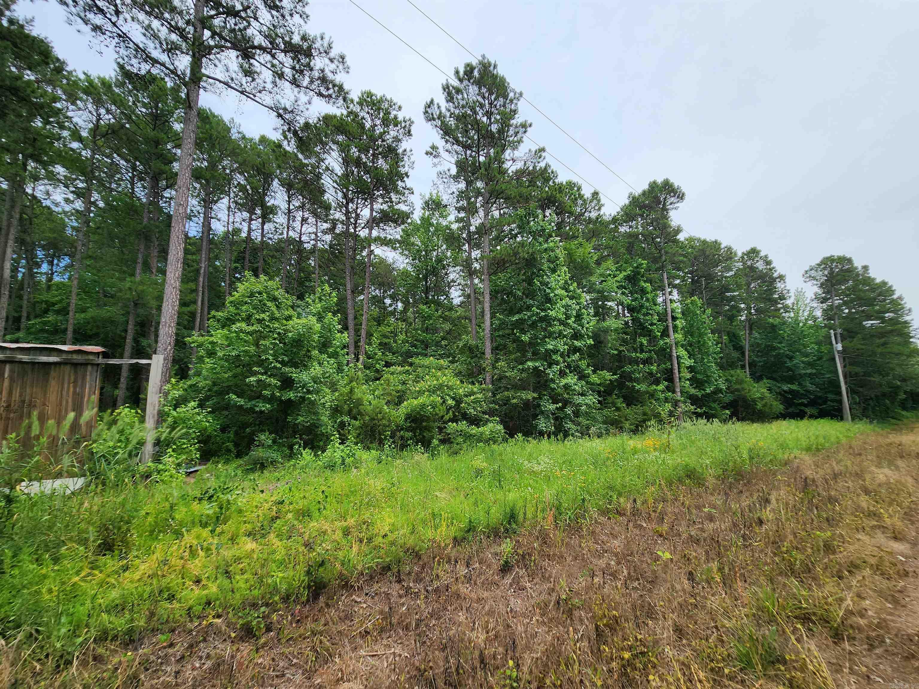 35  Pine Tree Rd  Greers Ferry, AR