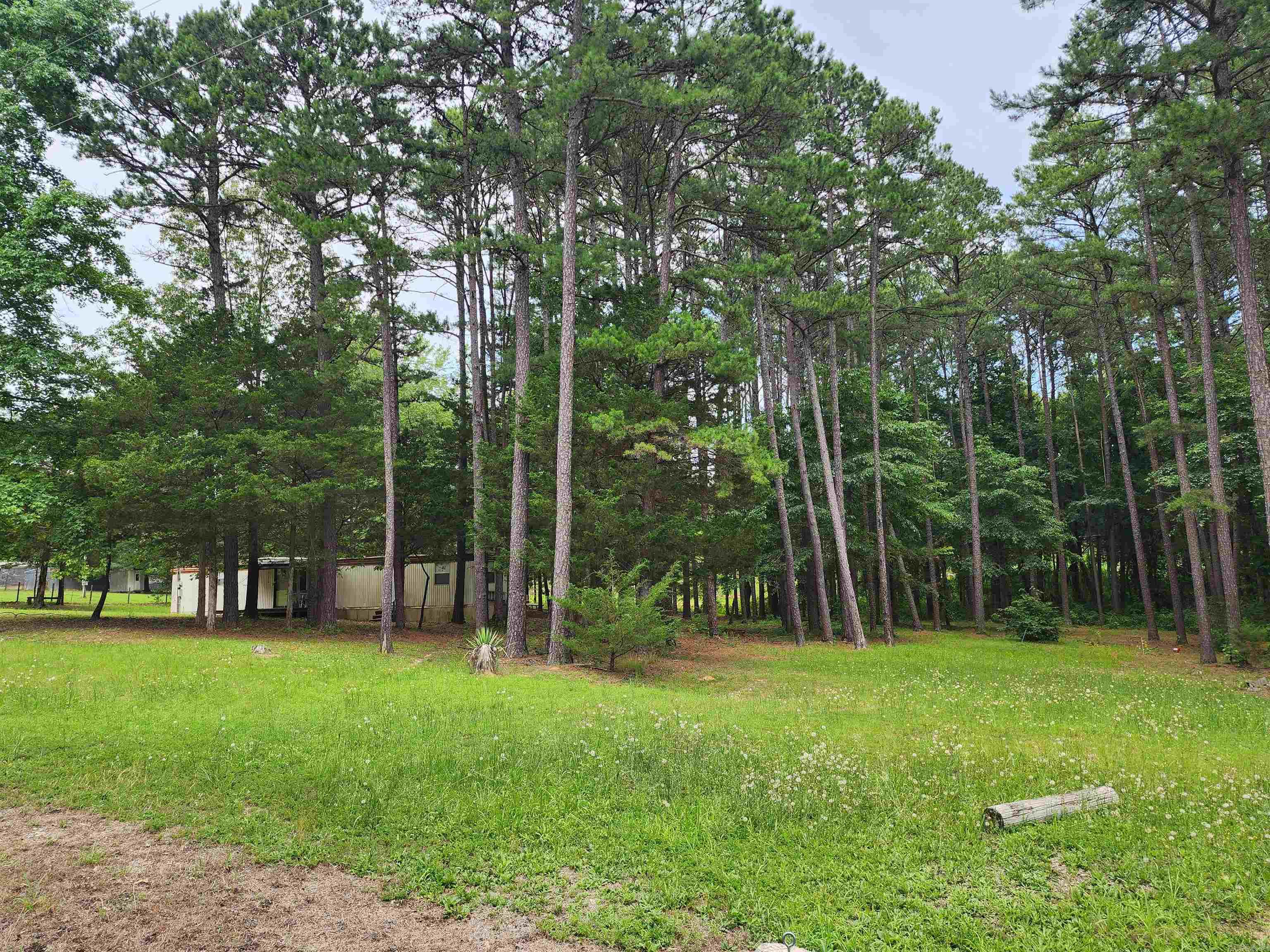 35  Pine Tree Rd  Greers Ferry, AR