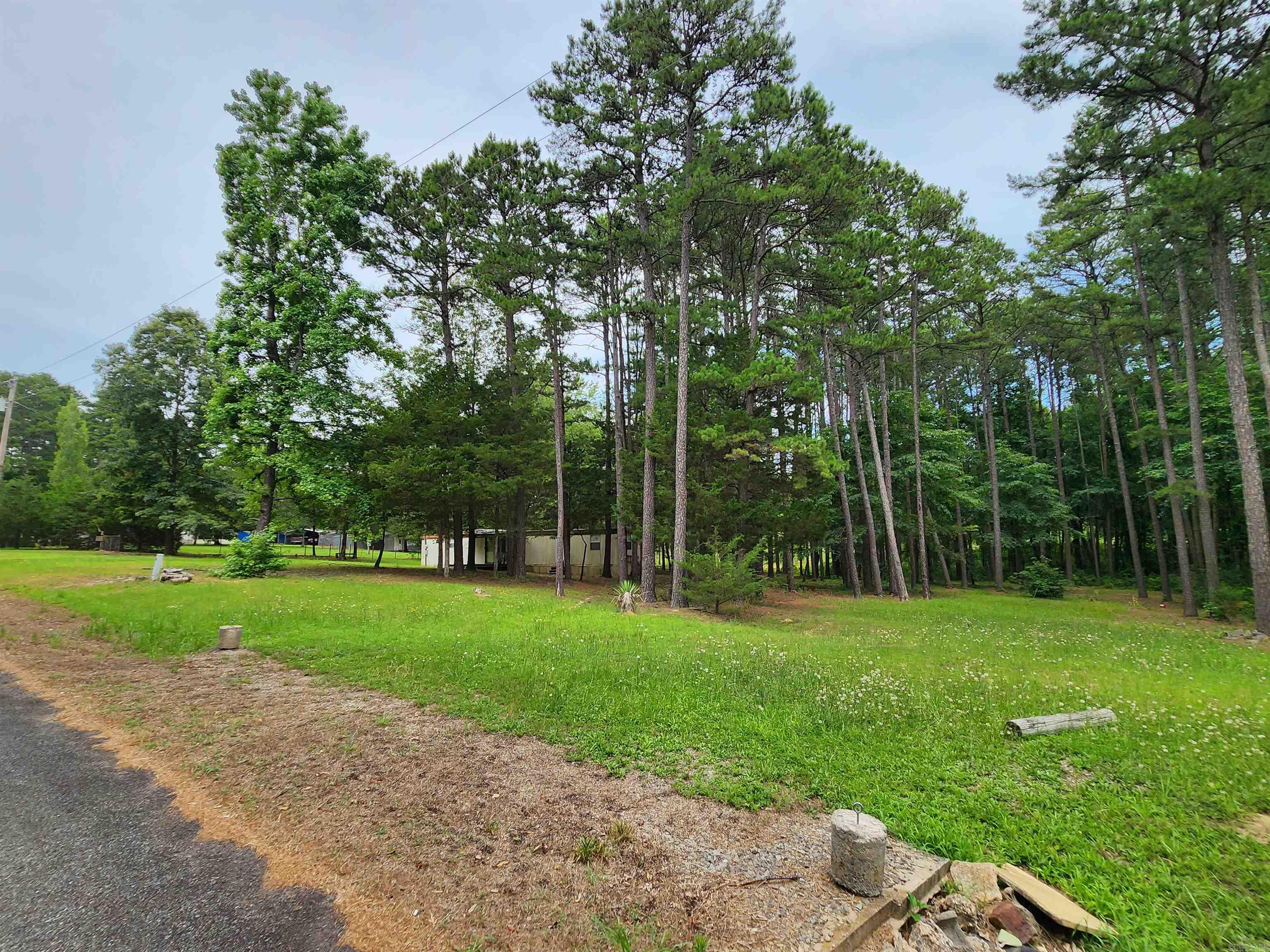 35  Pine Tree Rd  Greers Ferry, AR