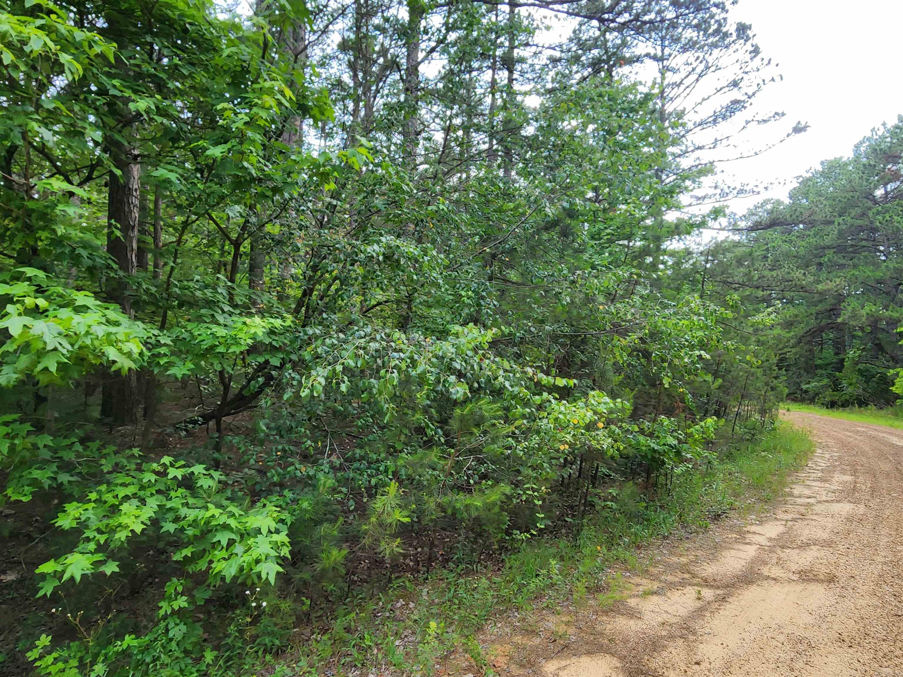 0  Coyne and Elderberry Way  Fairfield Bay, AR