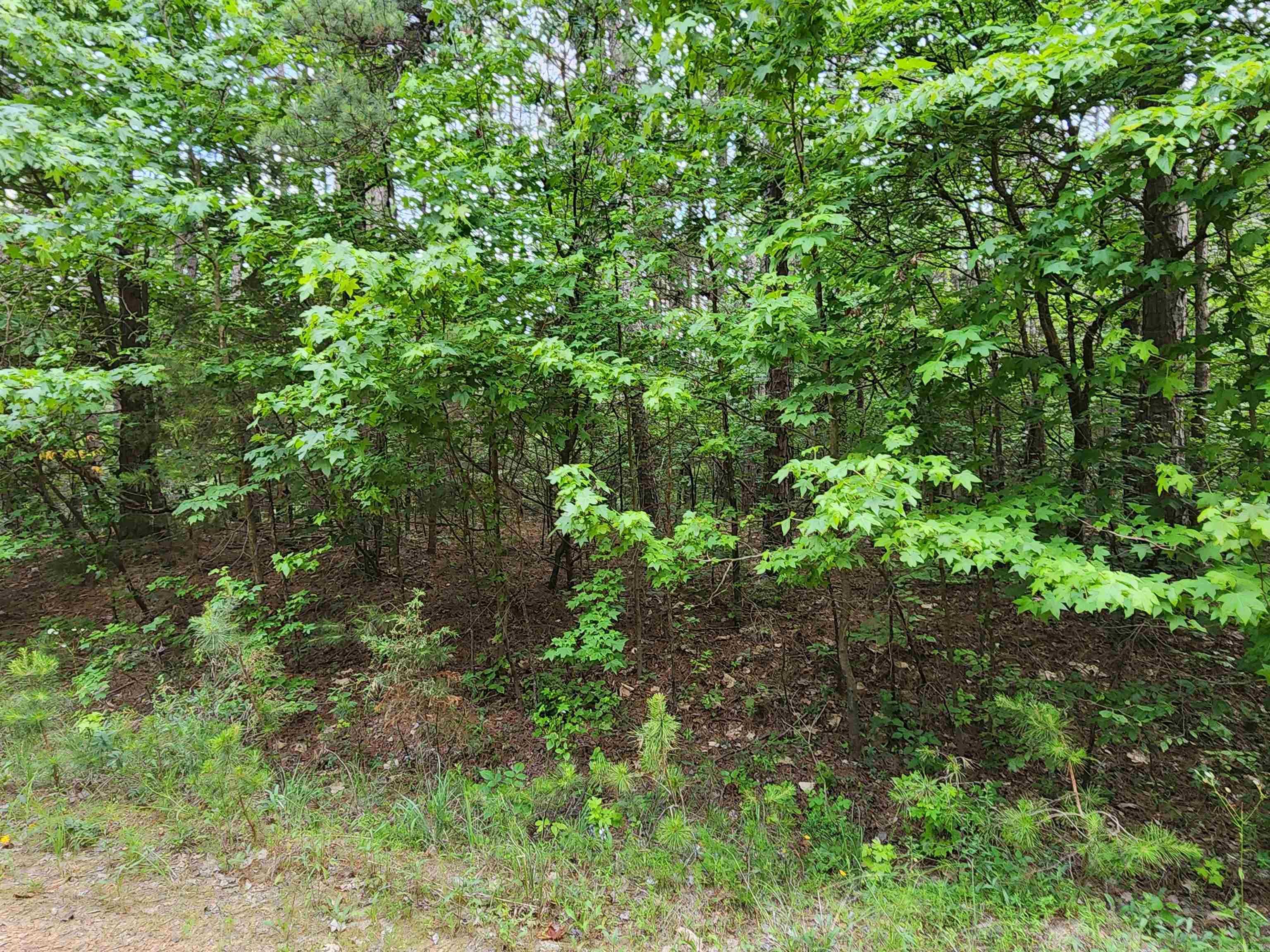 0  Coyne and Elderberry Way  Fairfield Bay, AR