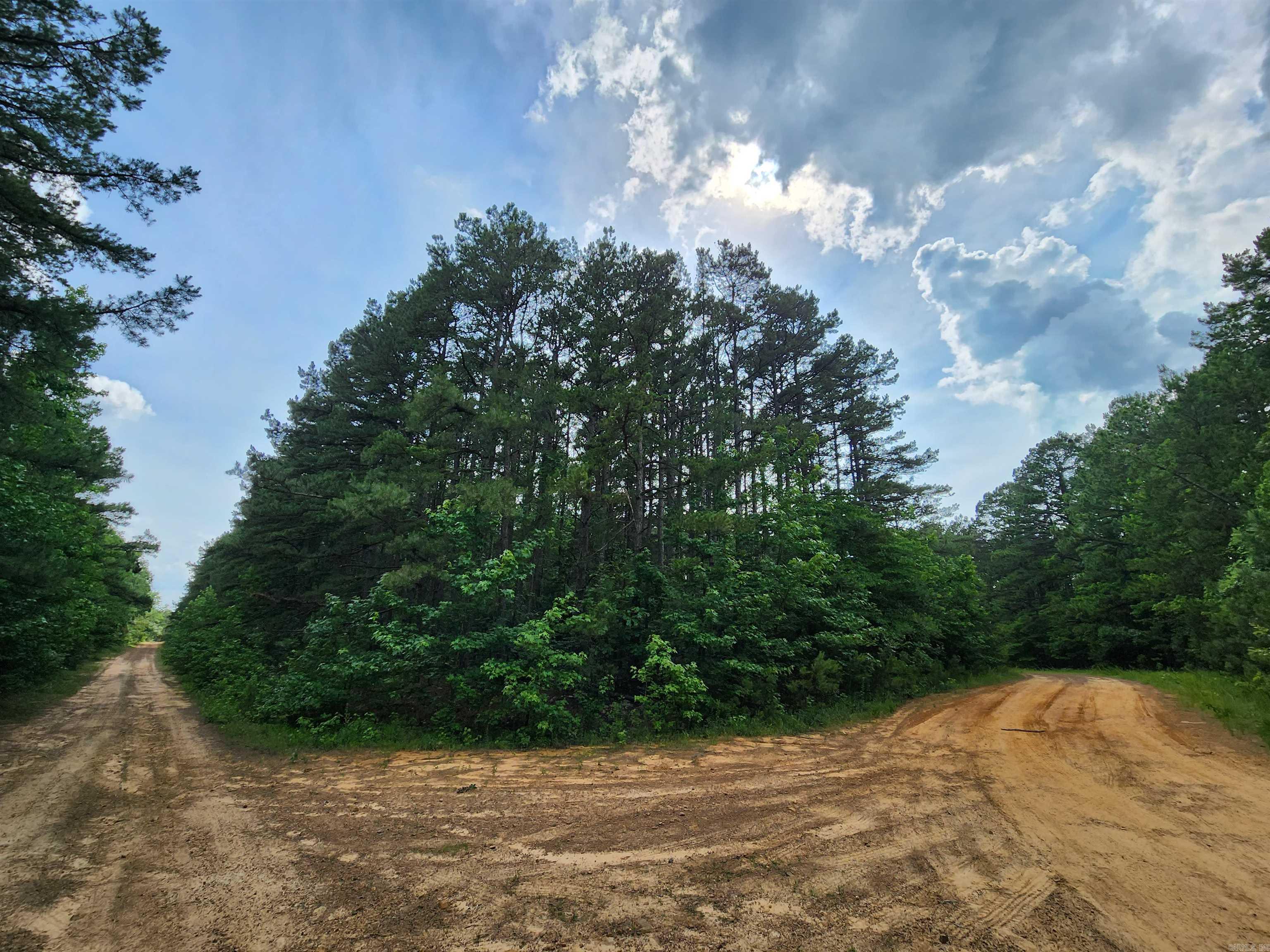 0  Coyne and Elderberry Way  Fairfield Bay, AR