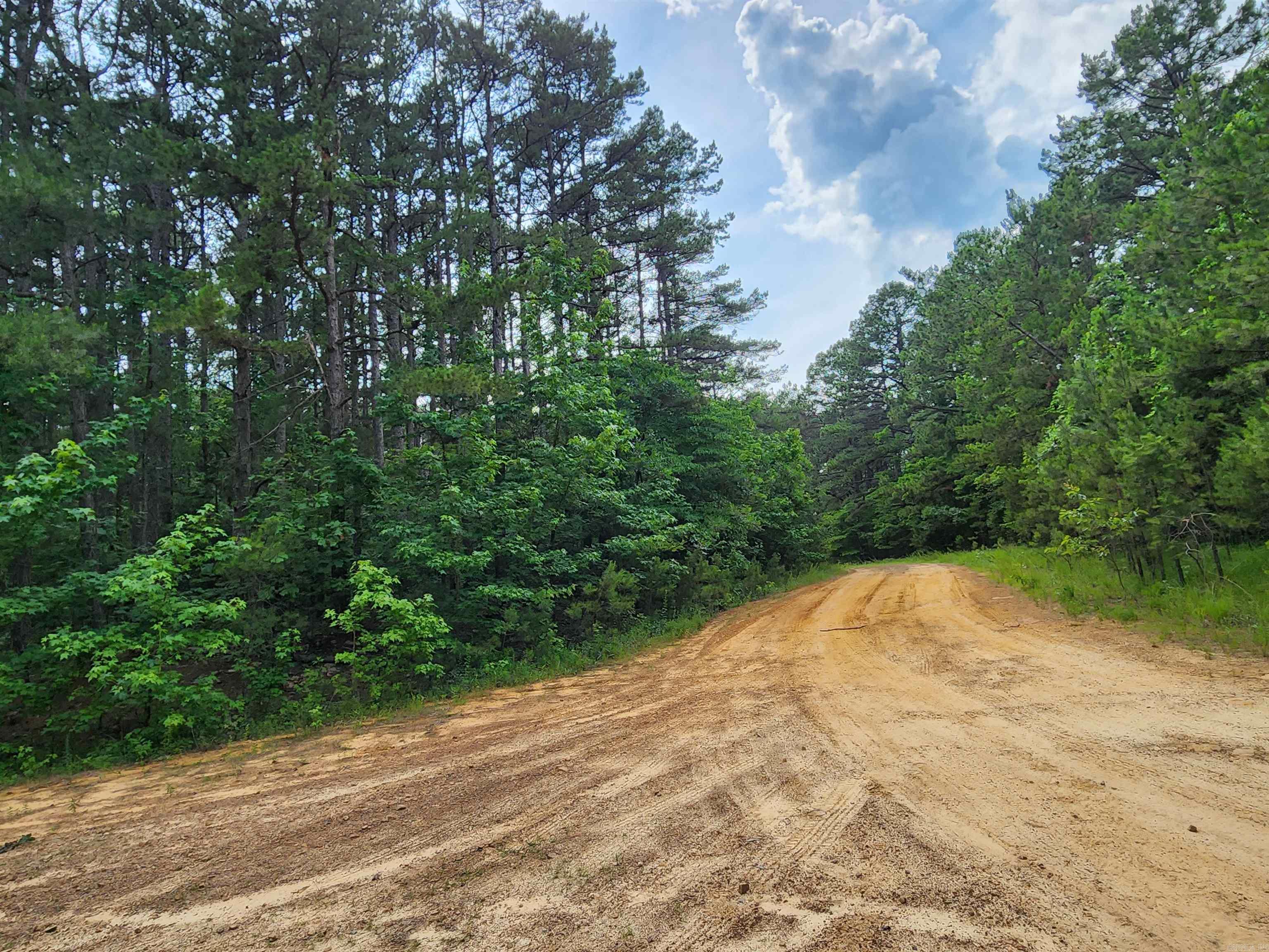 0  Coyne and Elderberry Way  Fairfield Bay, AR