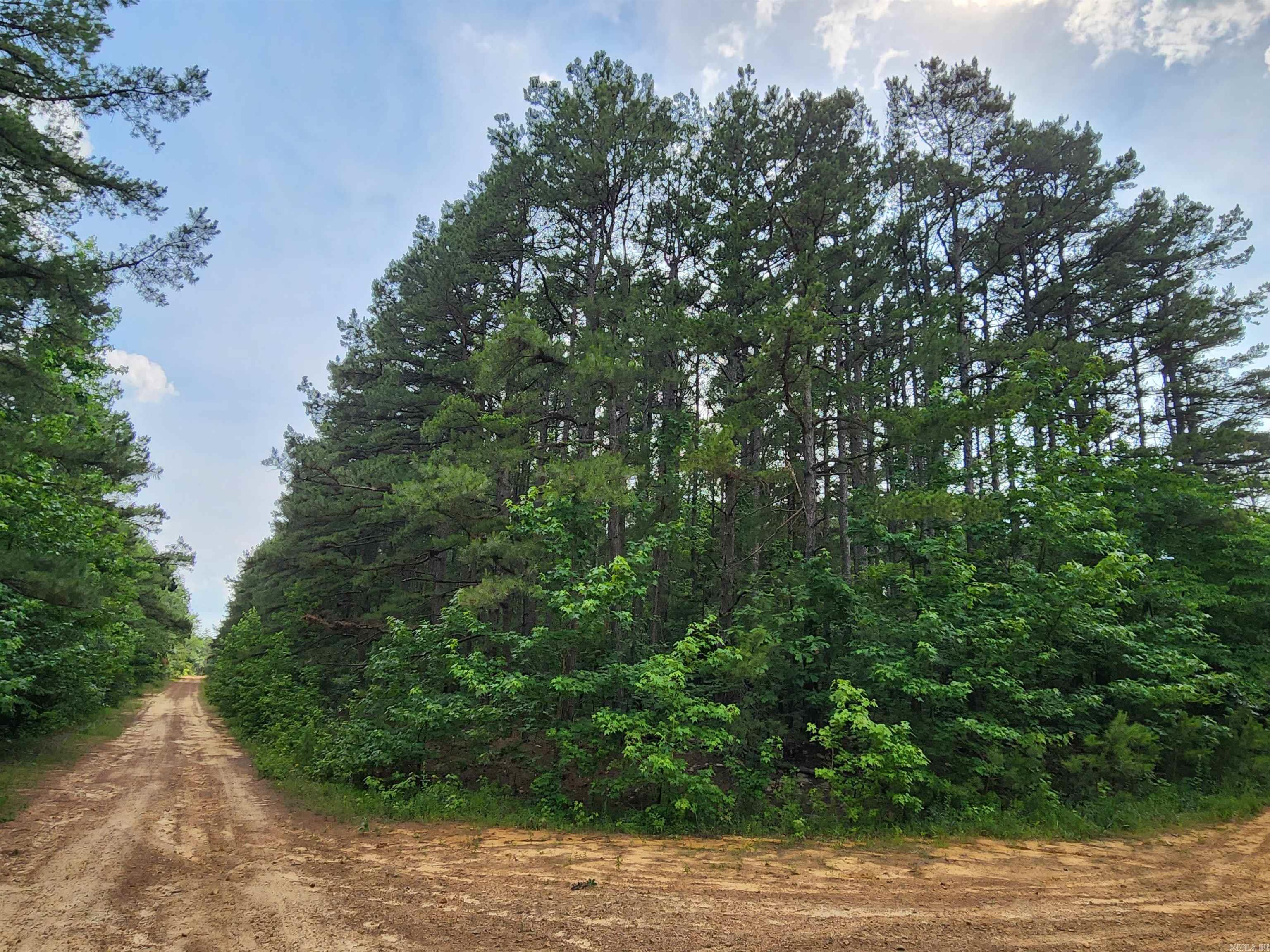 0  Coyne and Elderberry Way  Fairfield Bay, AR