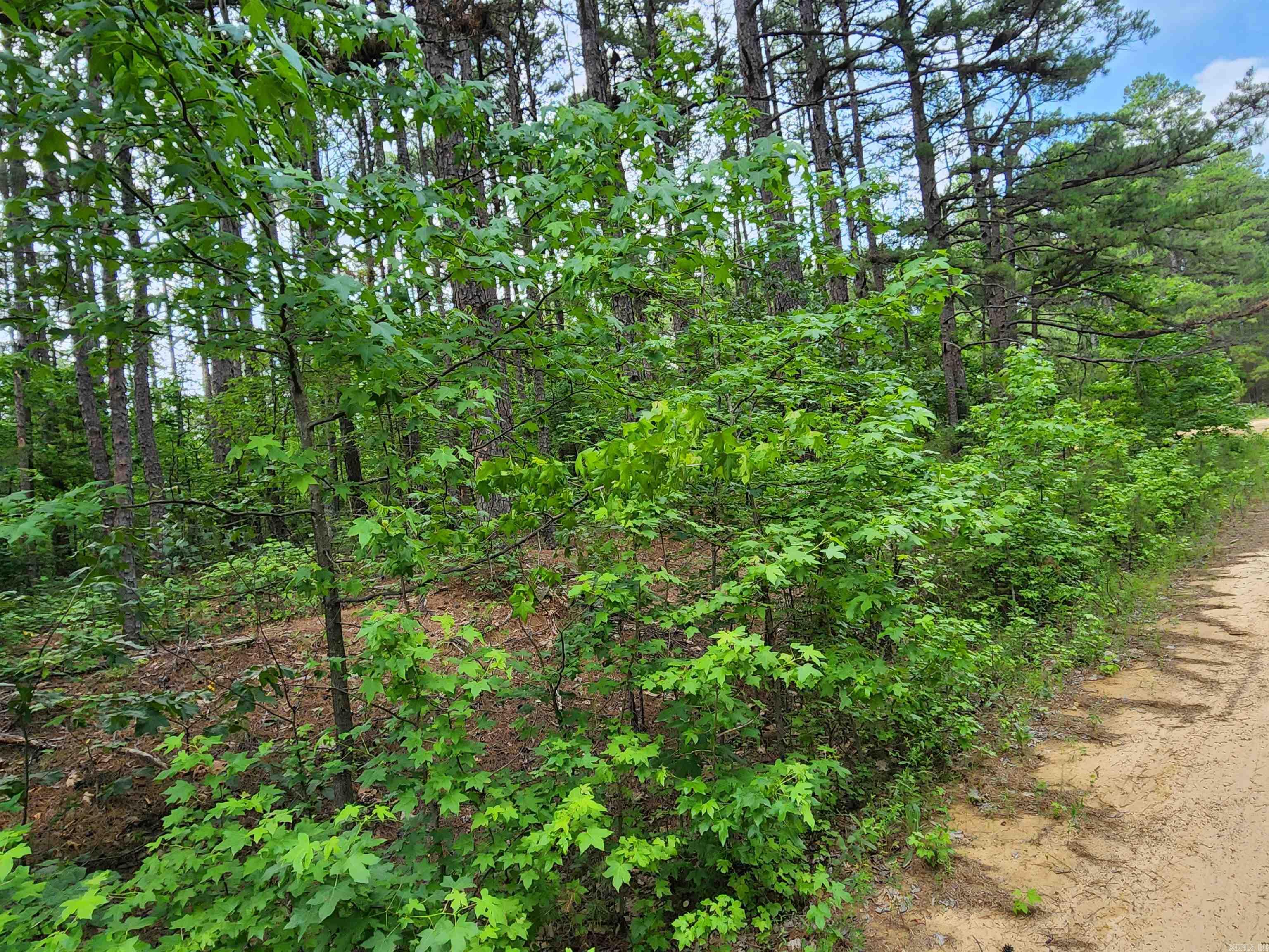 0  Coyne and Elderberry Way  Fairfield Bay, AR