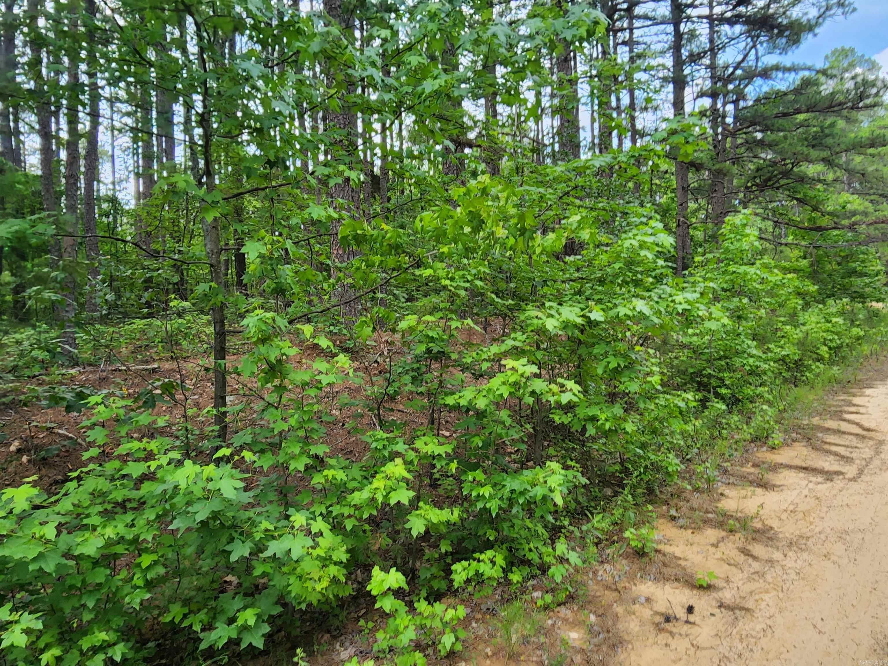 0  Coyne and Elderberry Way  Fairfield Bay, AR