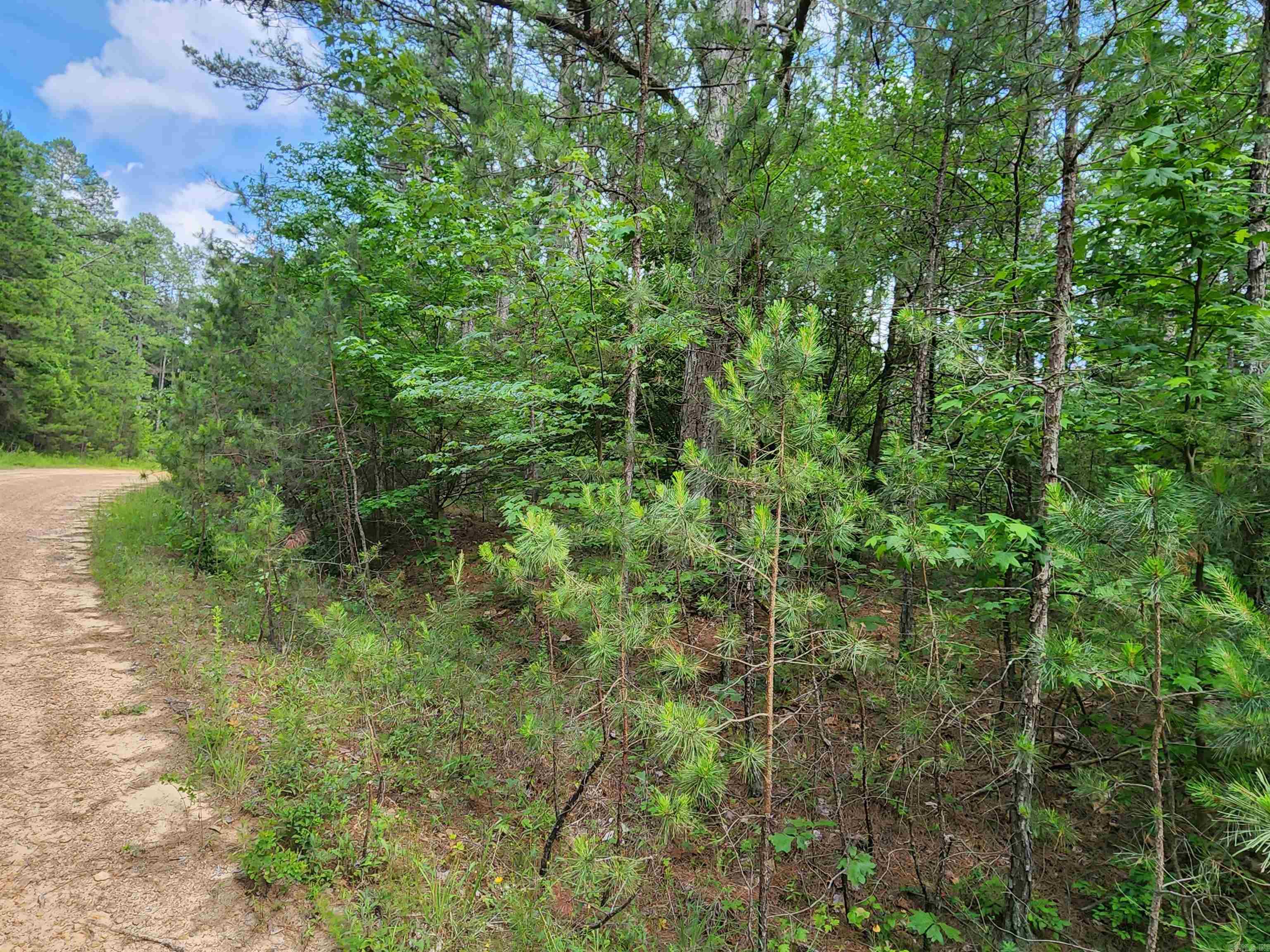 0  Coyne and Elderberry Way  Fairfield Bay, AR