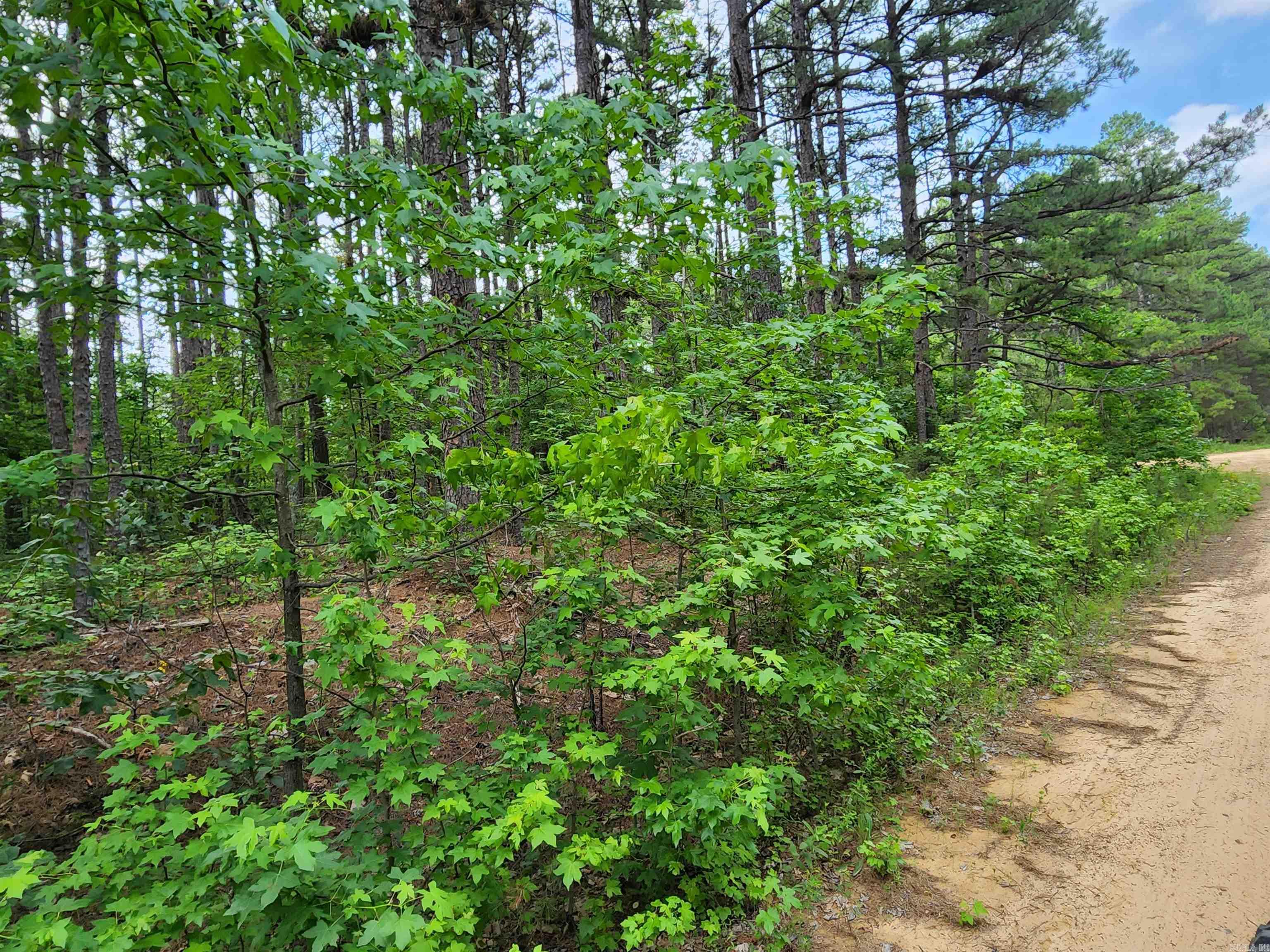 0  Coyne and Elderberry Way  Fairfield Bay, AR