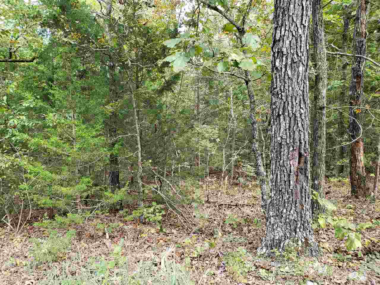 L-30 & 31 B-10  Iuka  Cherokee Village, AR