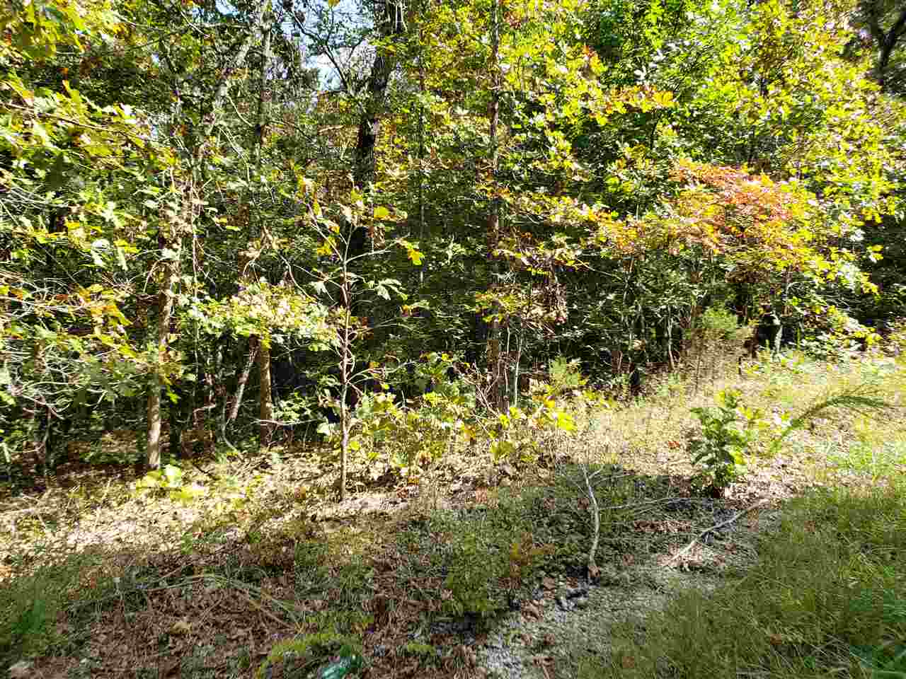 L-30 & 31 B-10  Iuka  Cherokee Village, AR