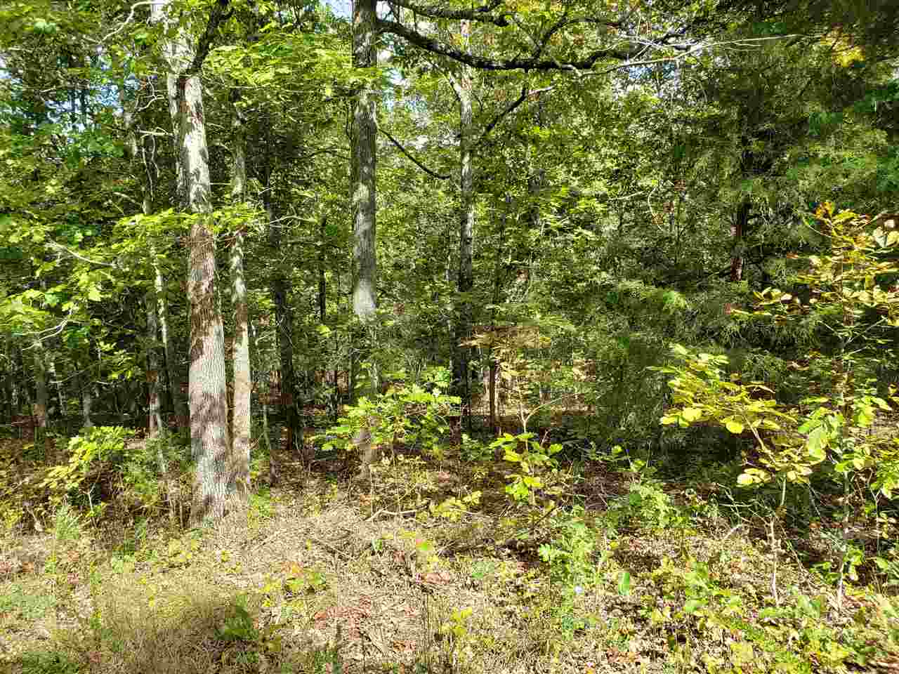L-30 & 31 B-10  Iuka  Cherokee Village, AR