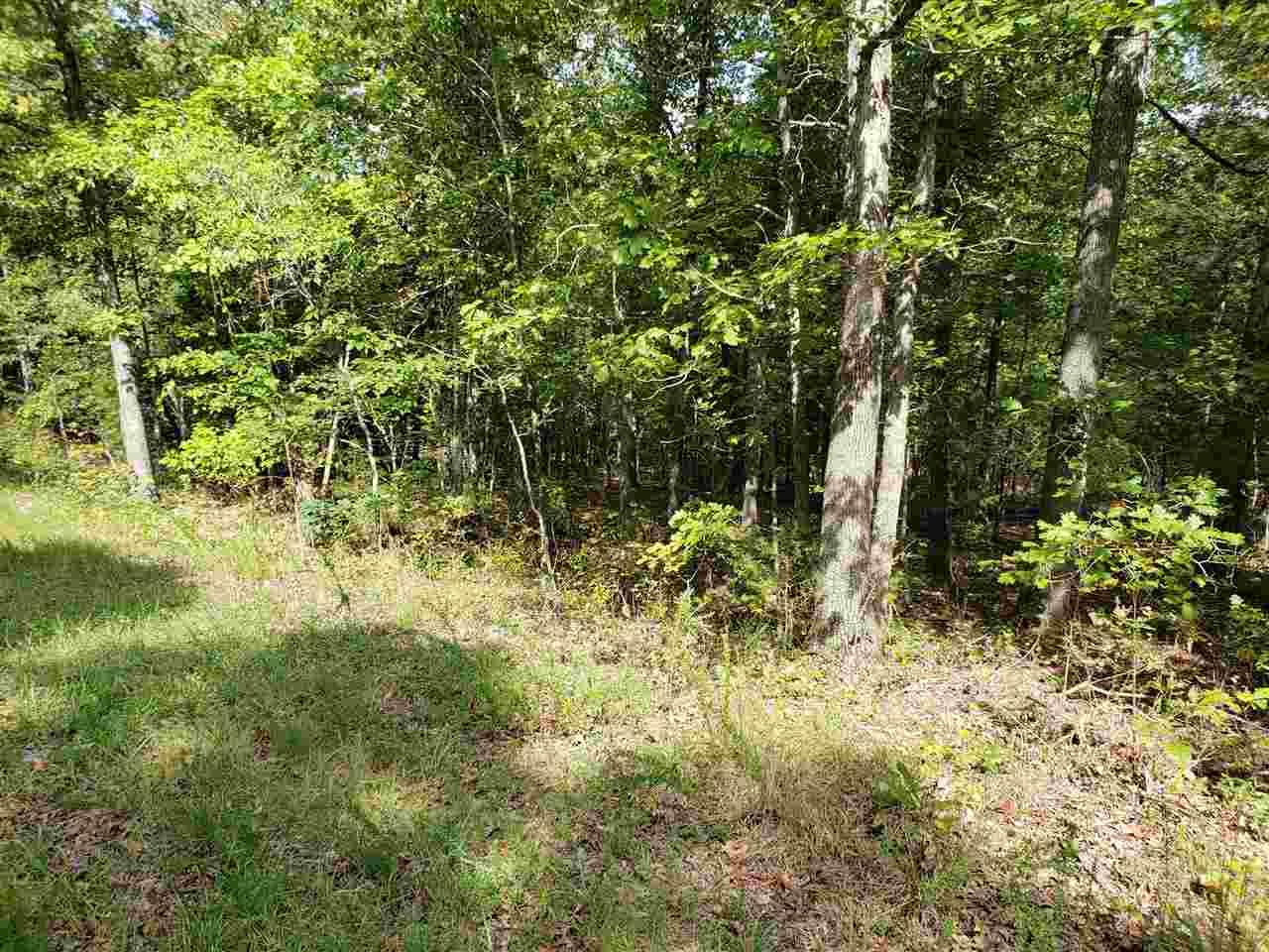 L-30 & 31 B-10  Iuka  Cherokee Village, AR