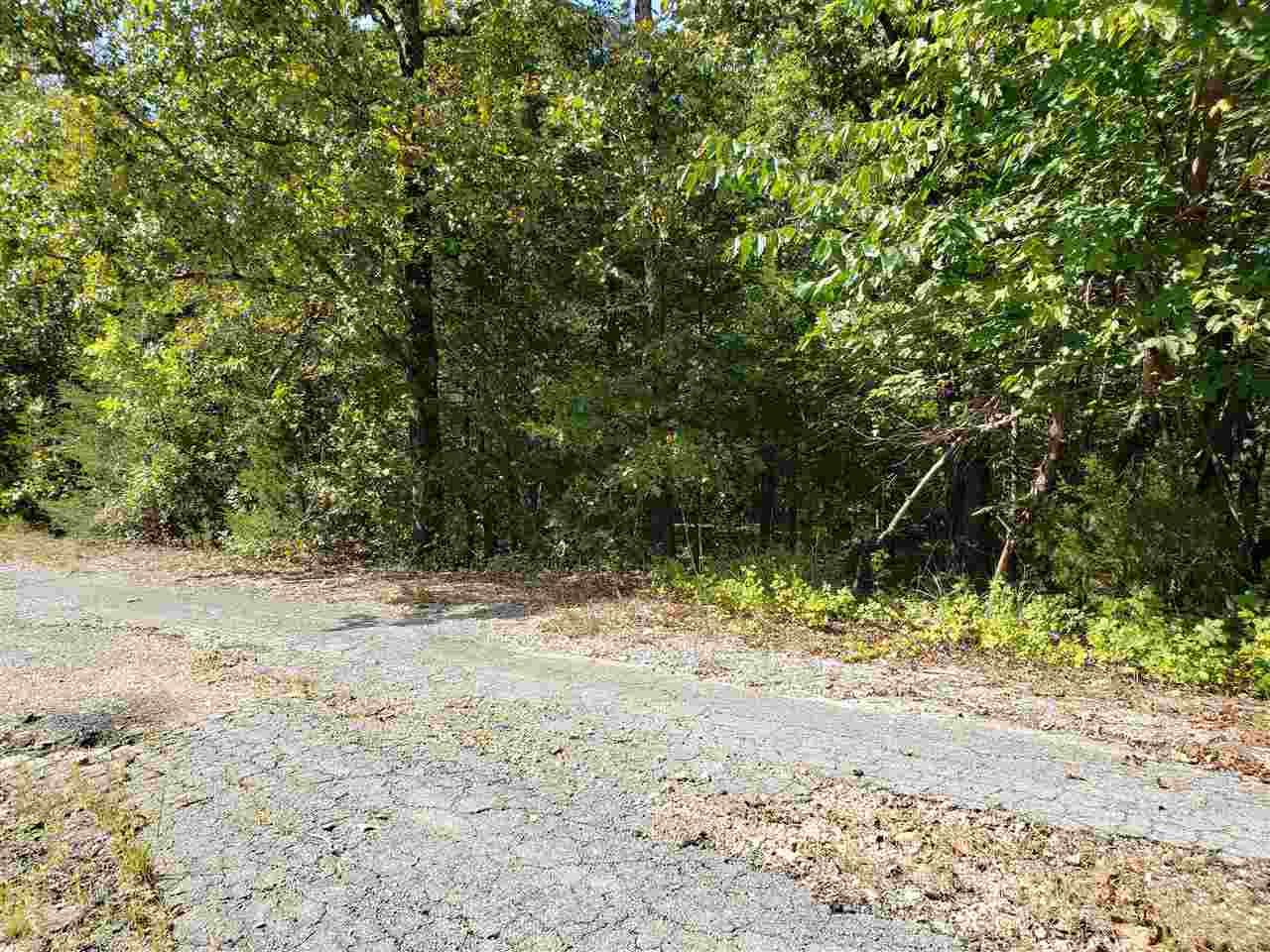 L-35 & 36 B-7  Pahokee  Cherokee Village, AR