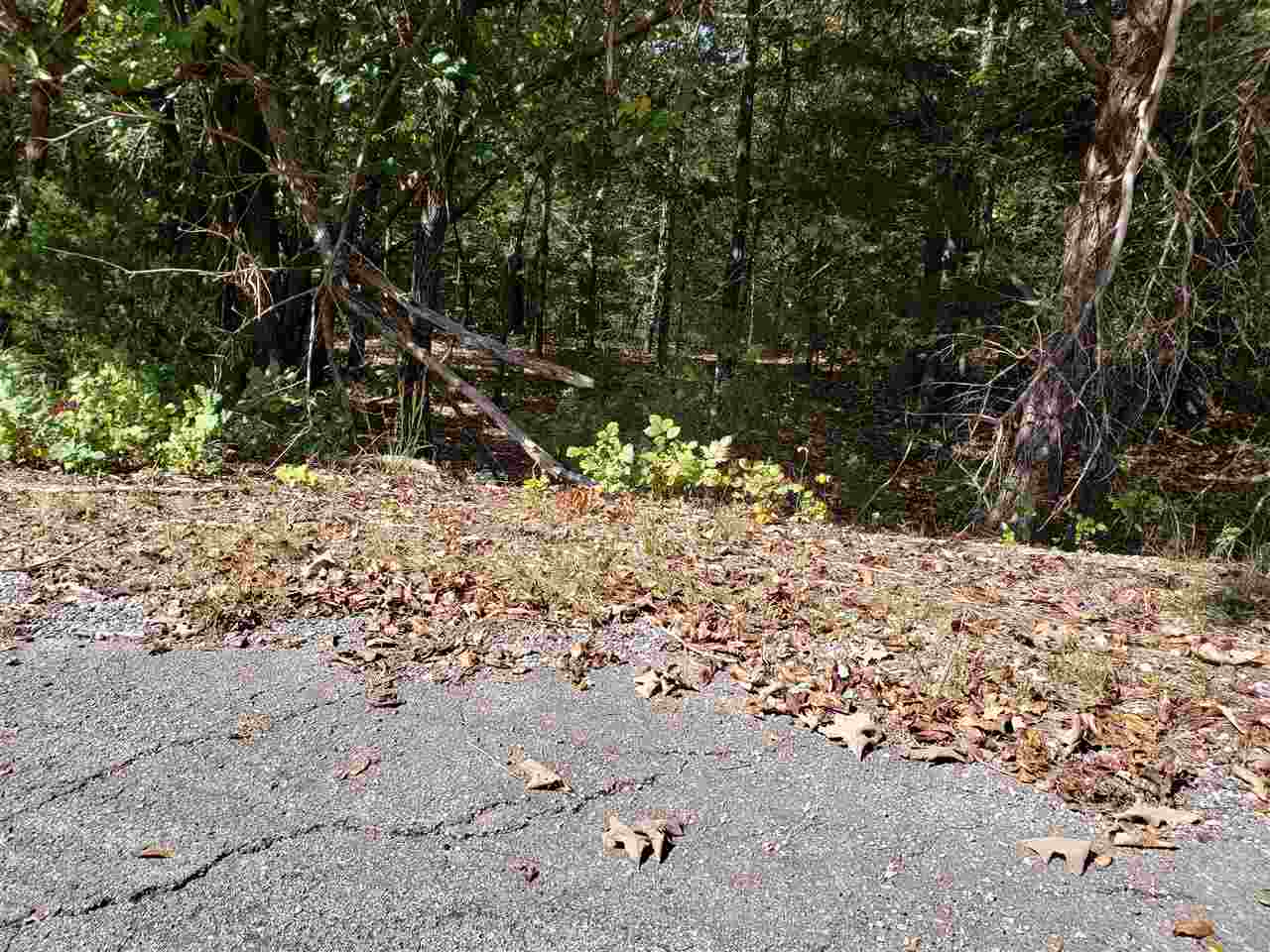 L-35 & 36 B-7  Pahokee  Cherokee Village, AR