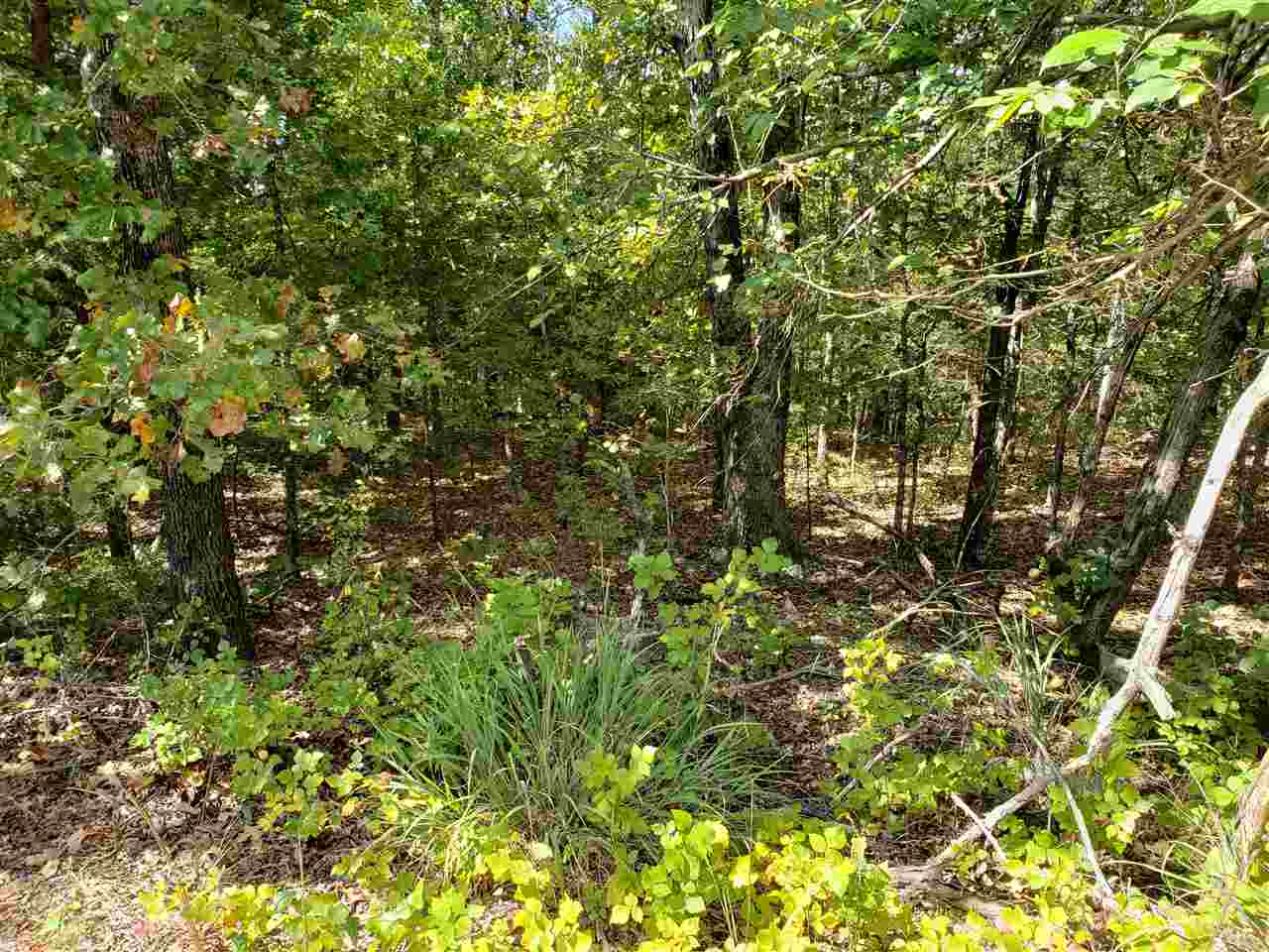 L-35 & 36 B-7  Pahokee  Cherokee Village, AR
