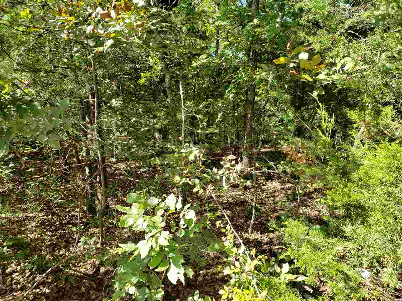 L-35 & 36 B-7  Pahokee  Cherokee Village, AR