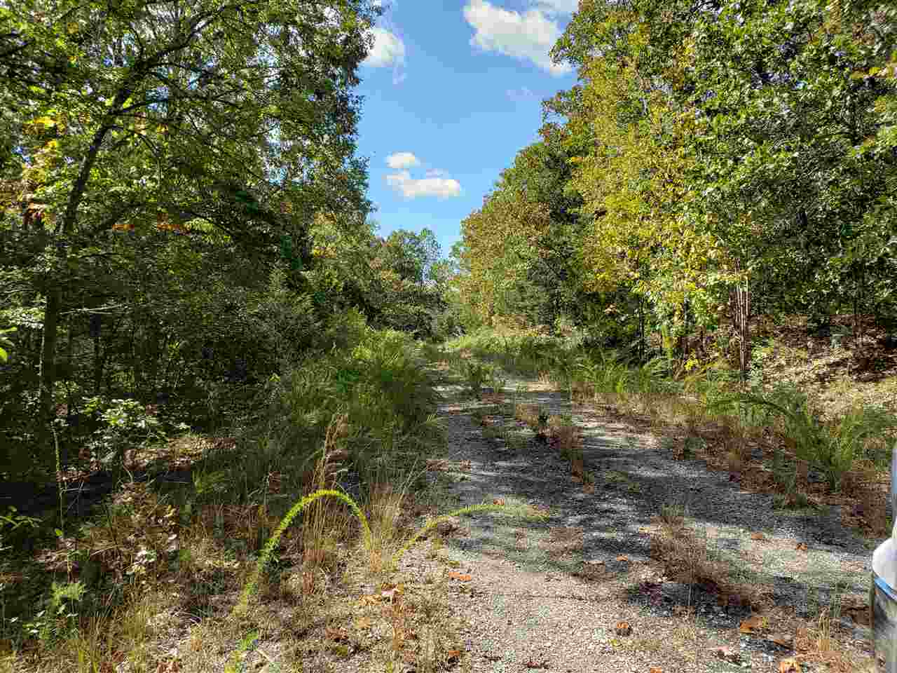 L-55 & 56 B-7  Lochloosa  Cherokee Village, AR